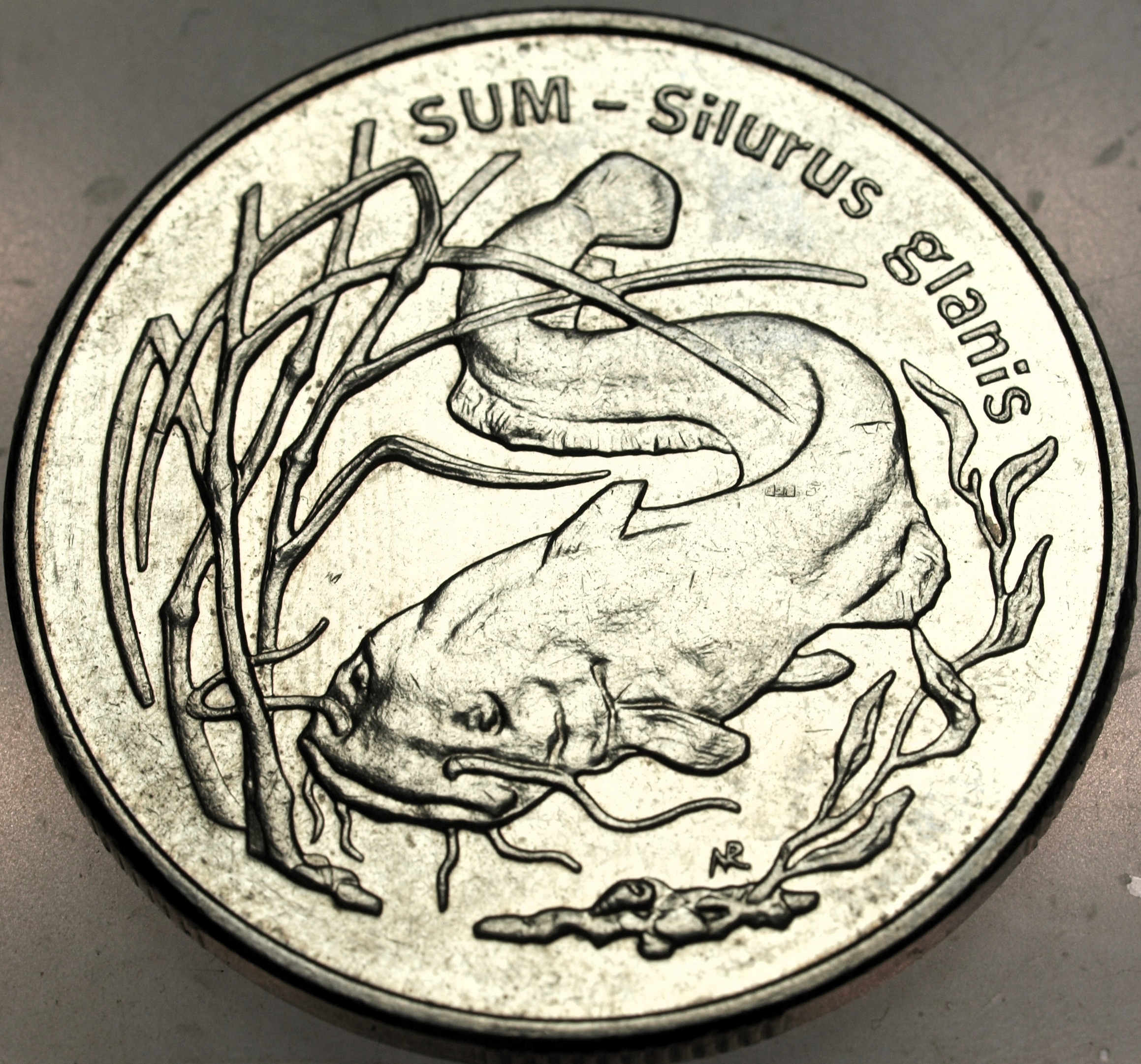 Zdjęcie 18136517608_0