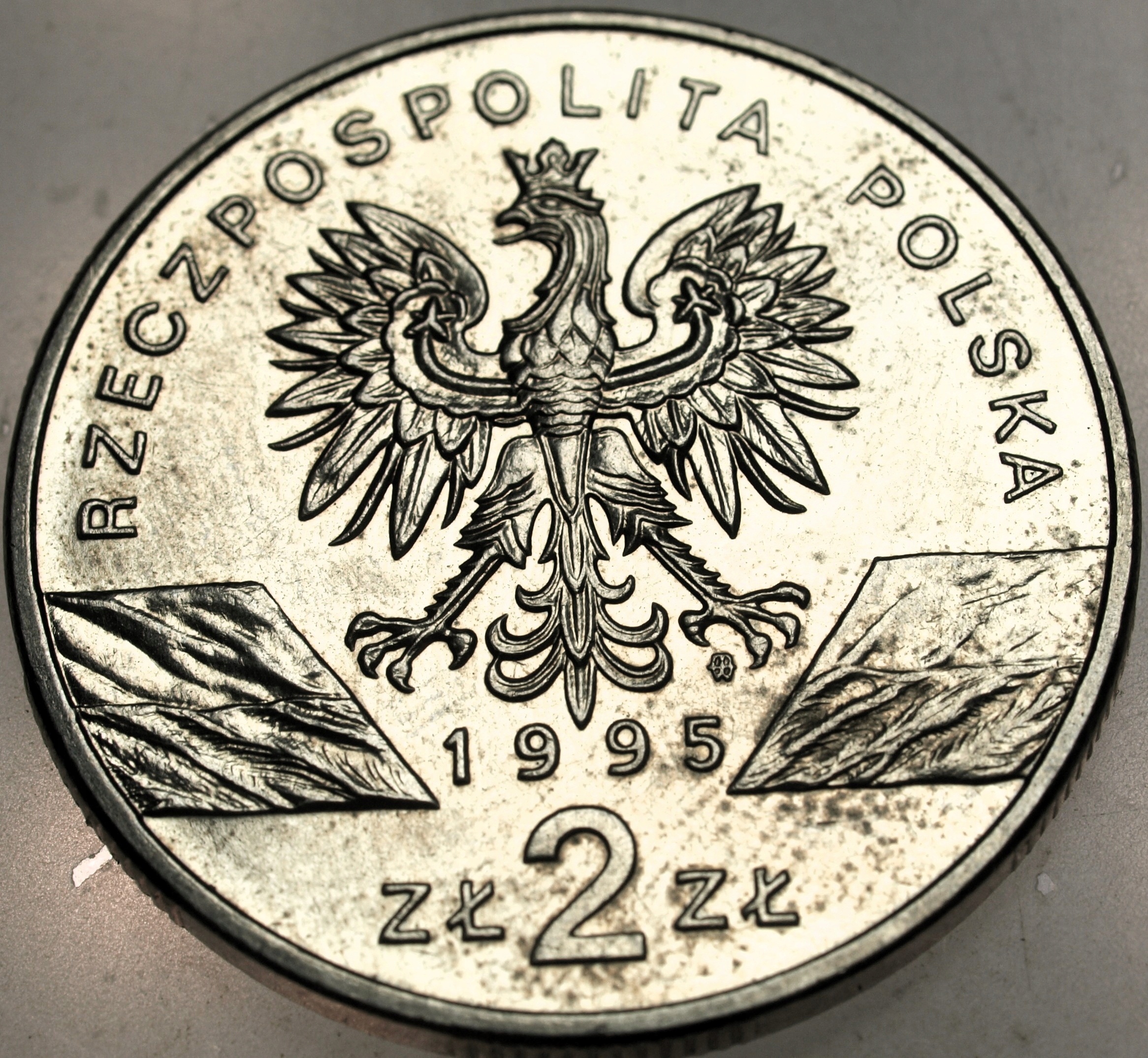 Zdjęcie 18136517608_1