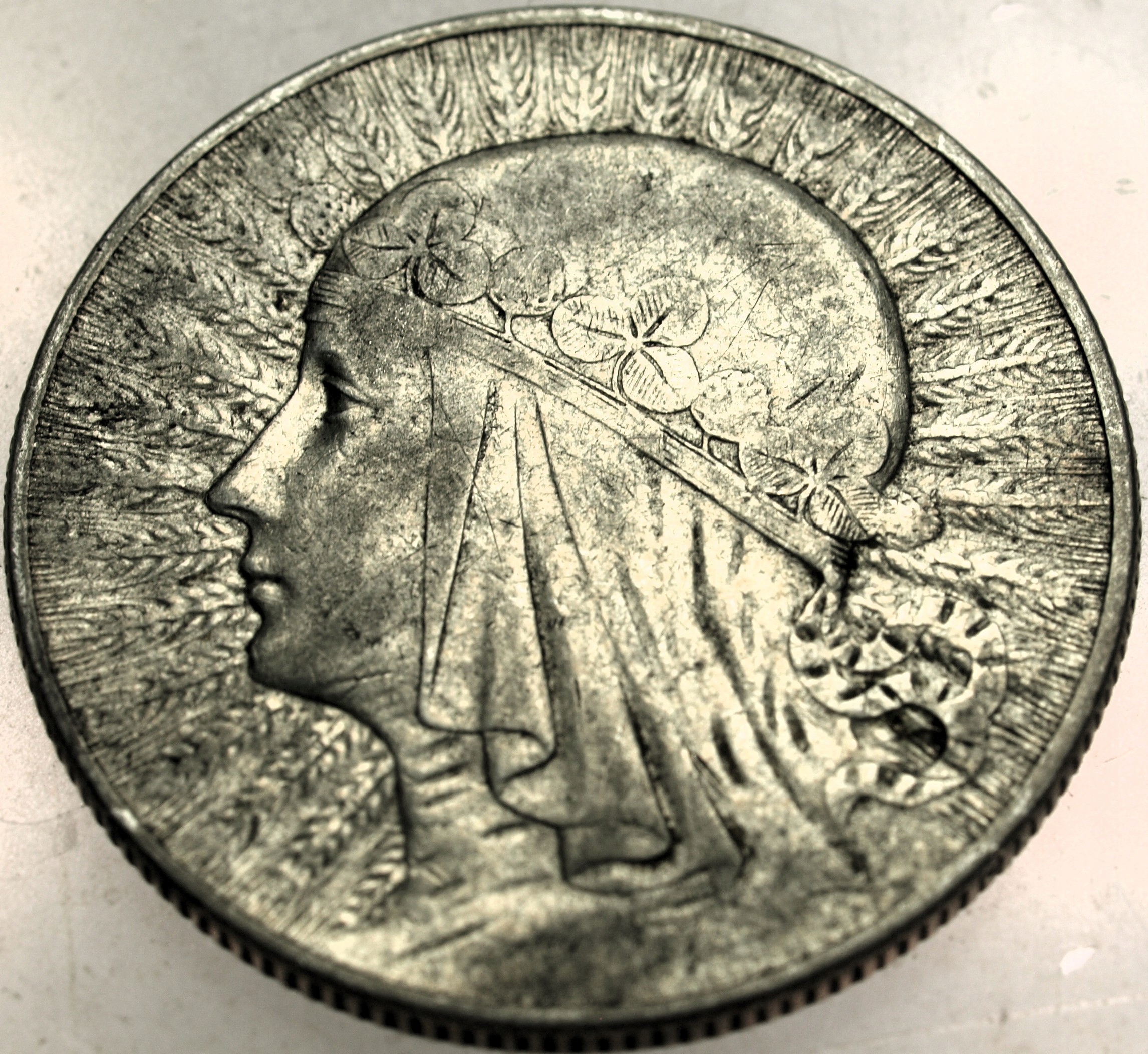 Zdjęcie 18136527118_0