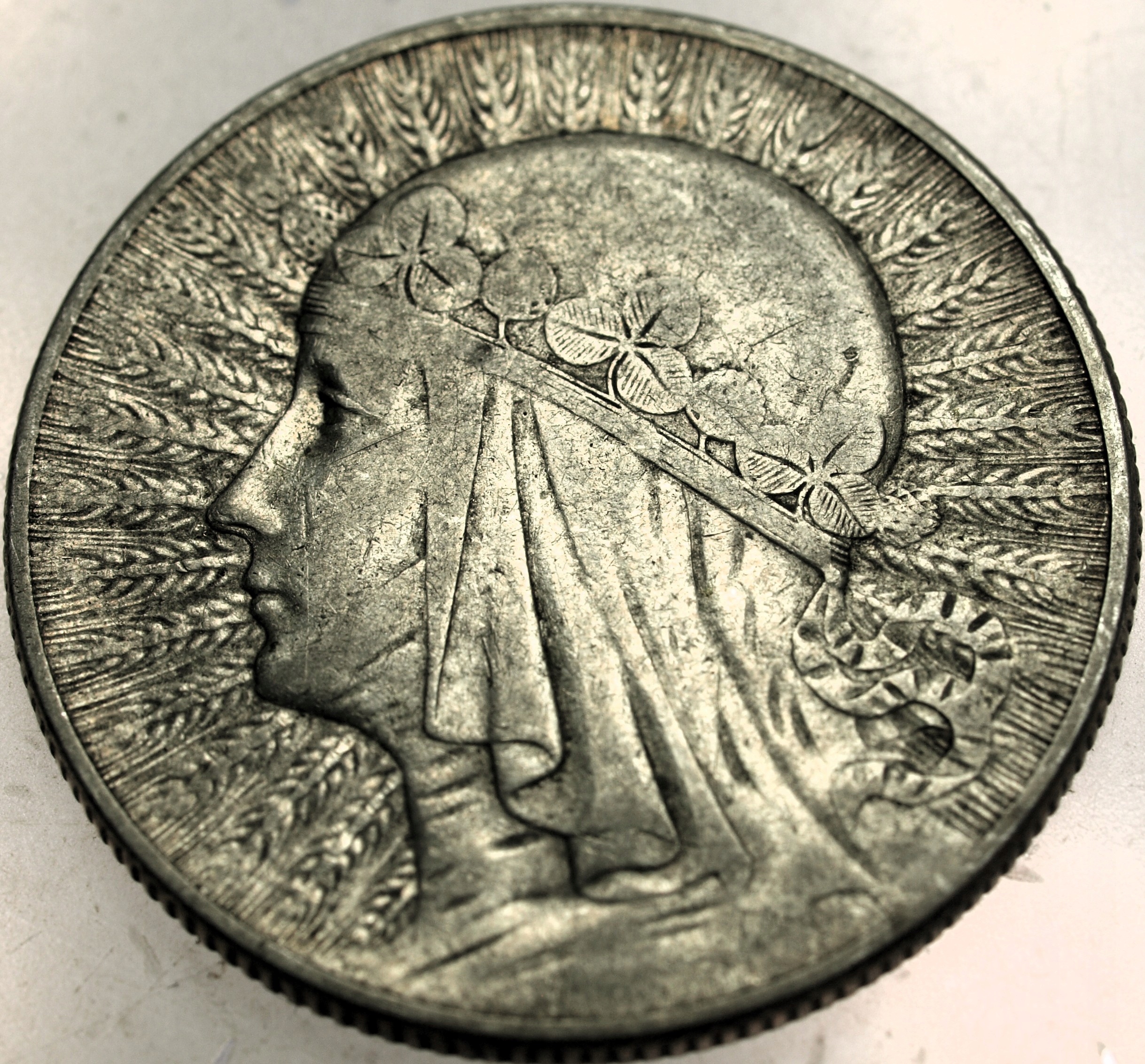 Zdjęcie 18136529021_0