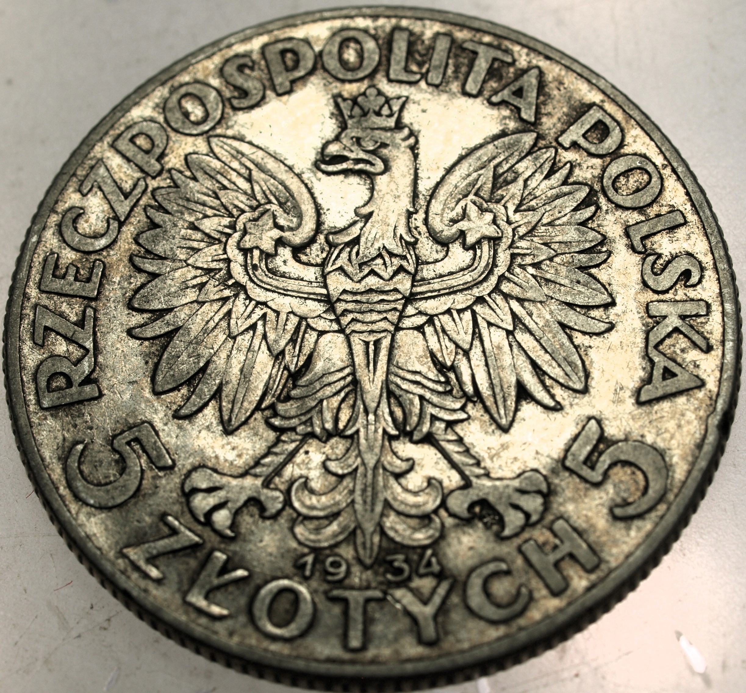 Zdjęcie 18136529021_1