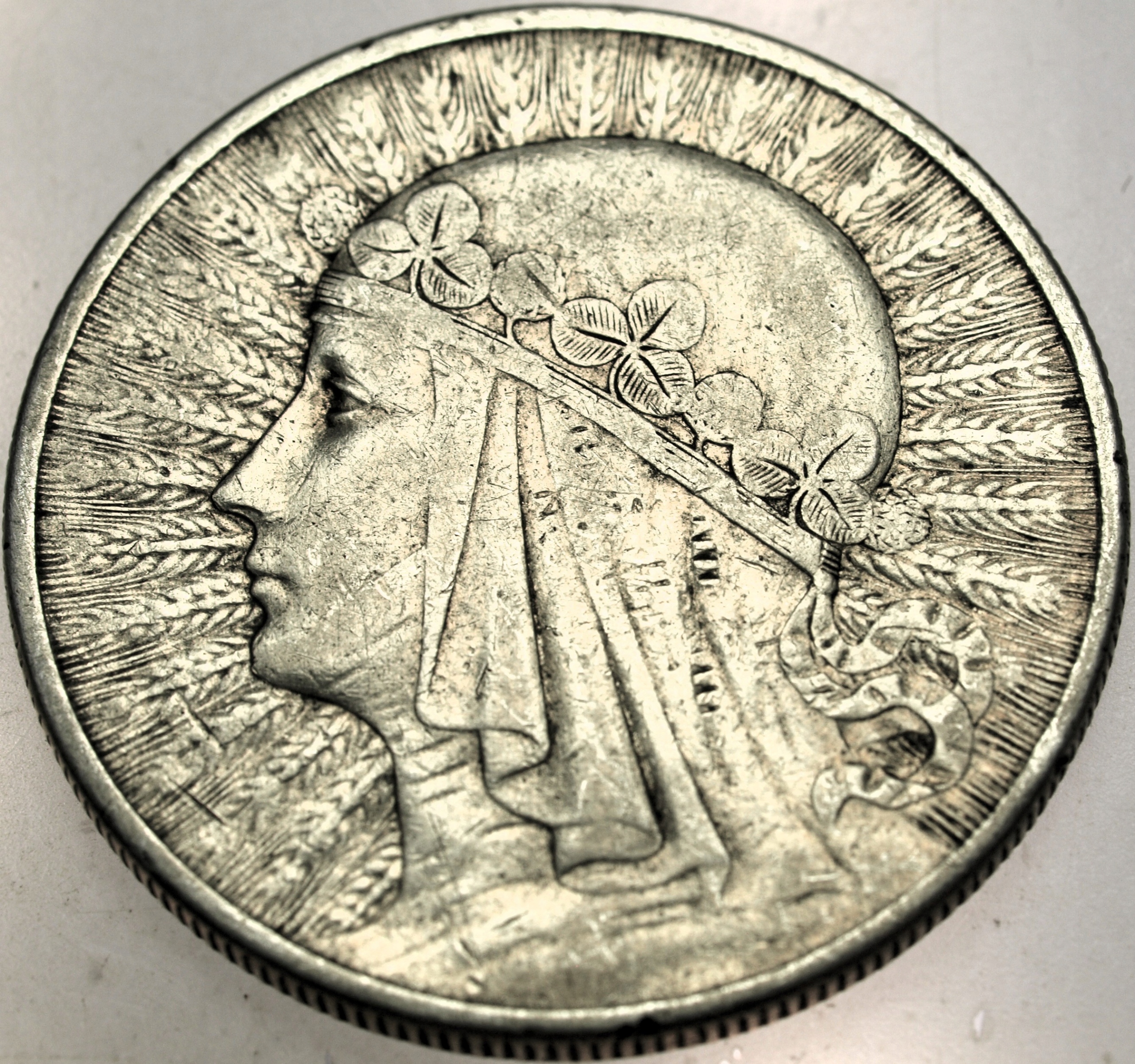 Zdjęcie 18136534058_0