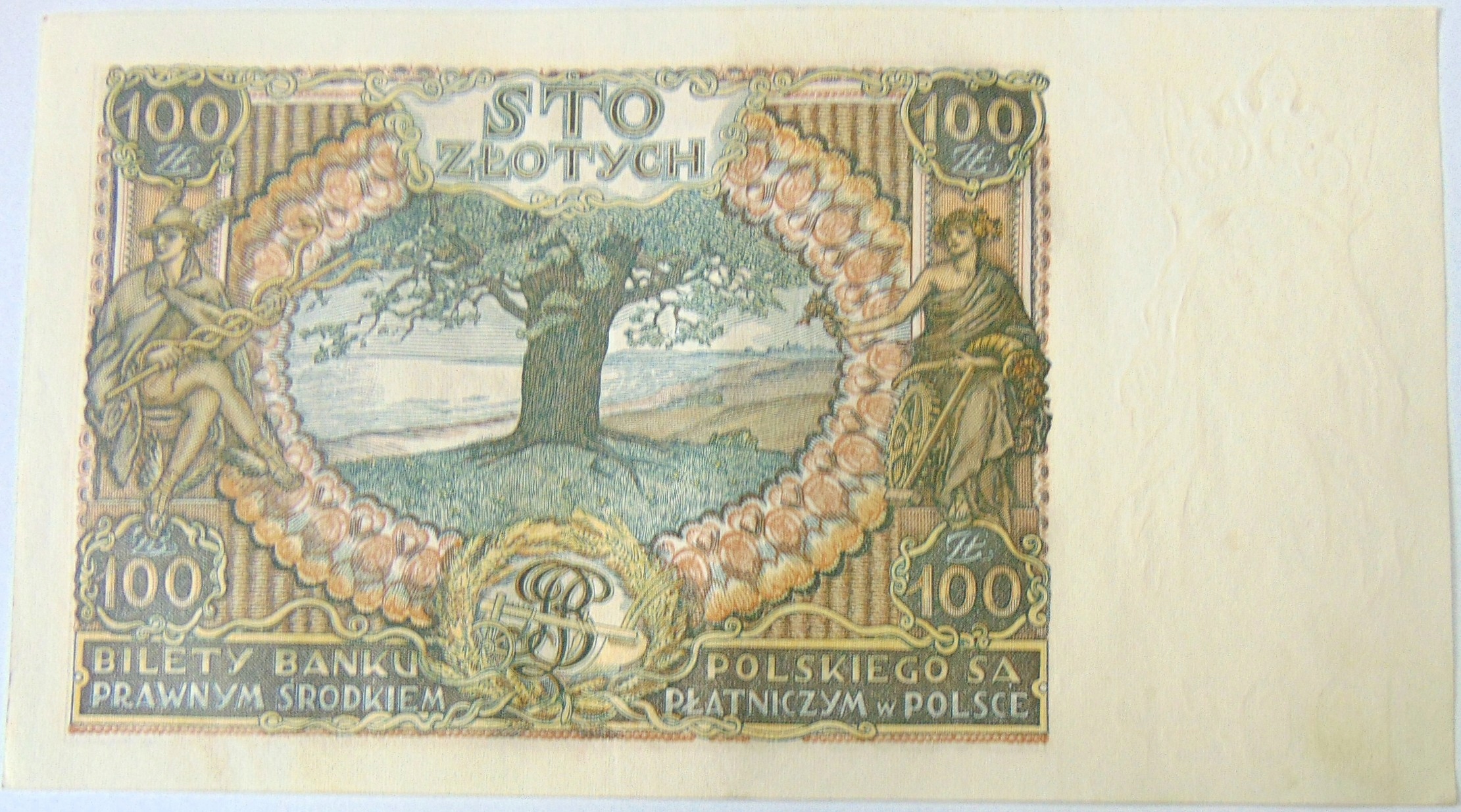 Zdjęcie 18139464379_1