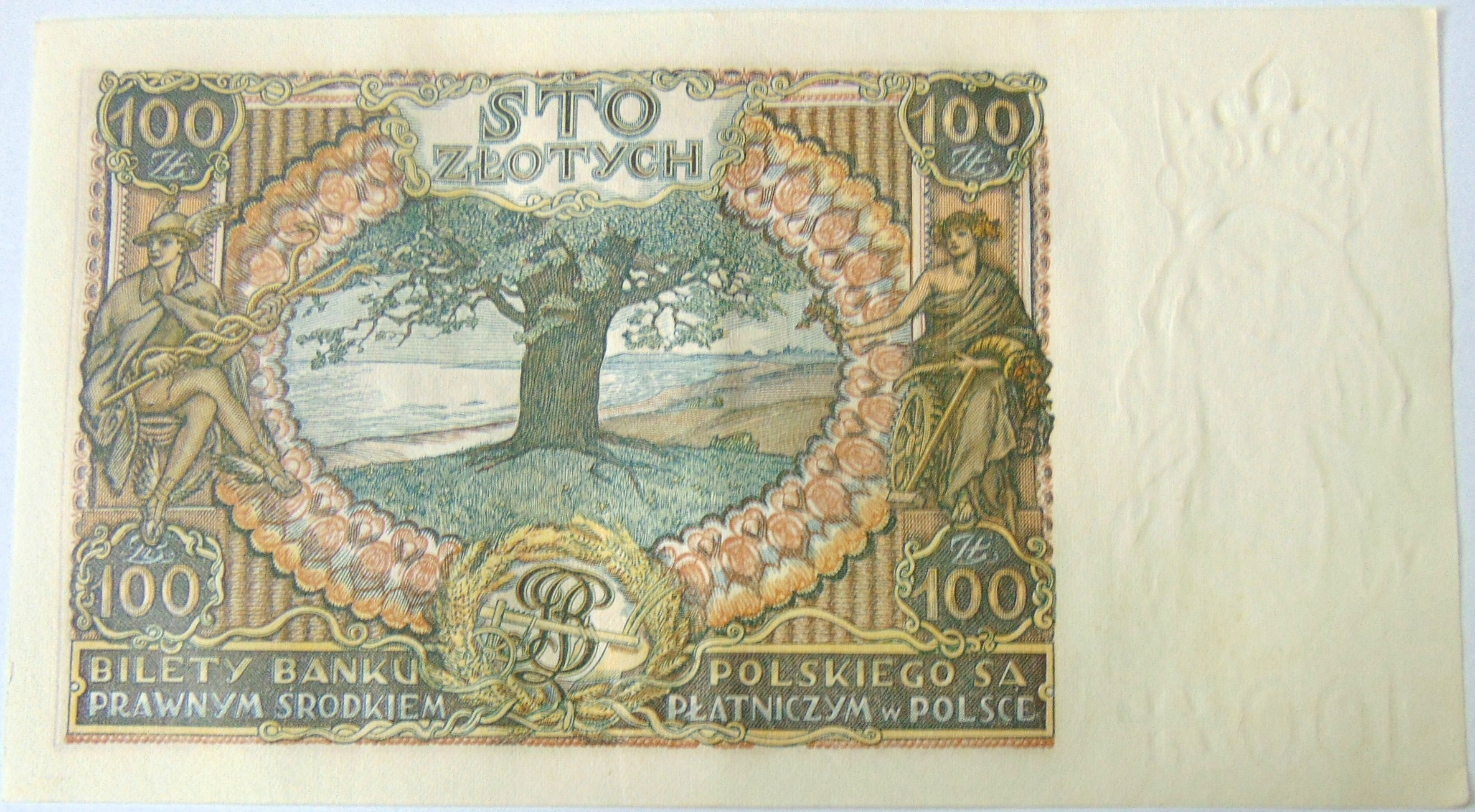 Zdjęcie 18139466555_1