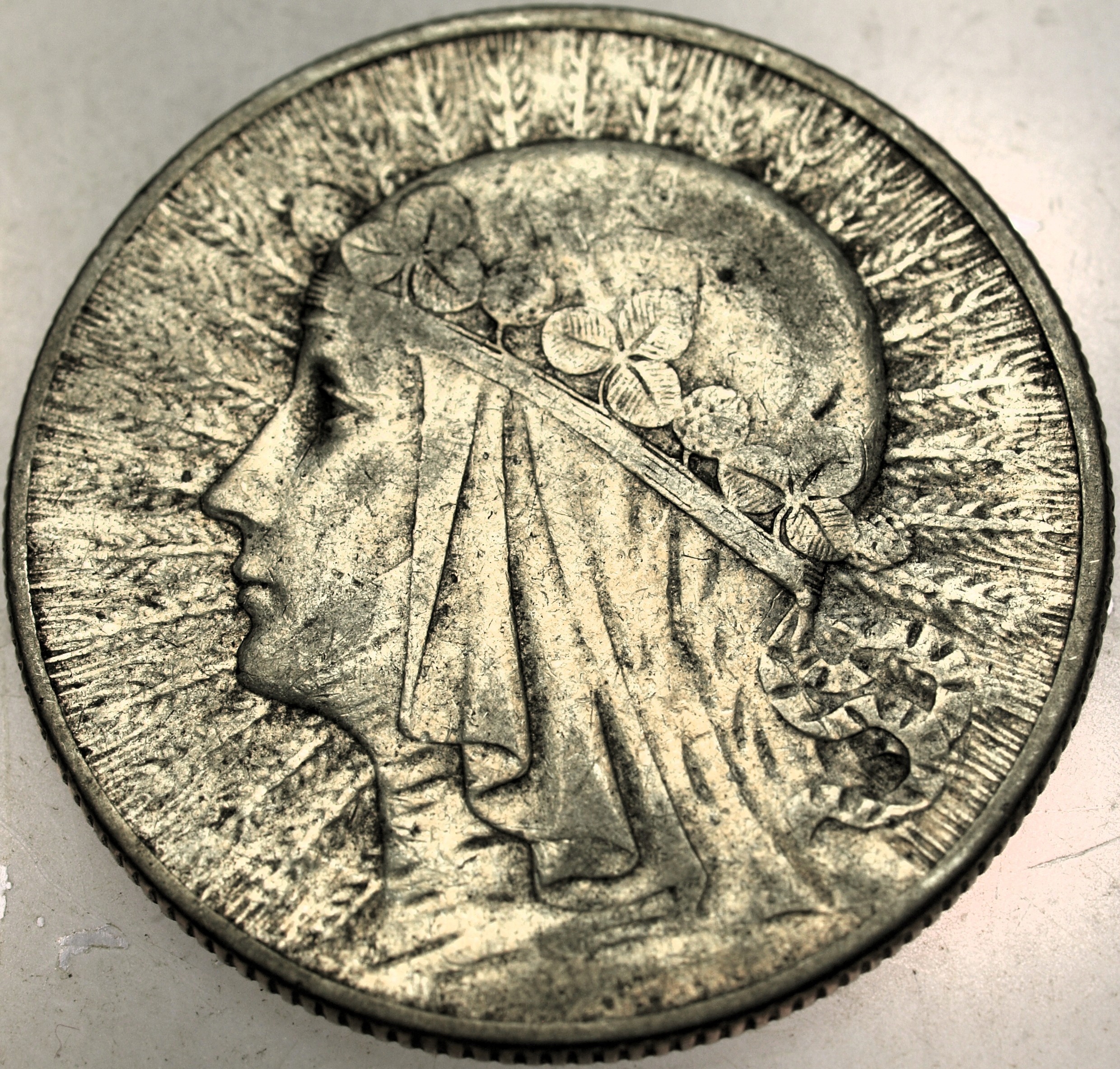 Zdjęcie 18139644558_0