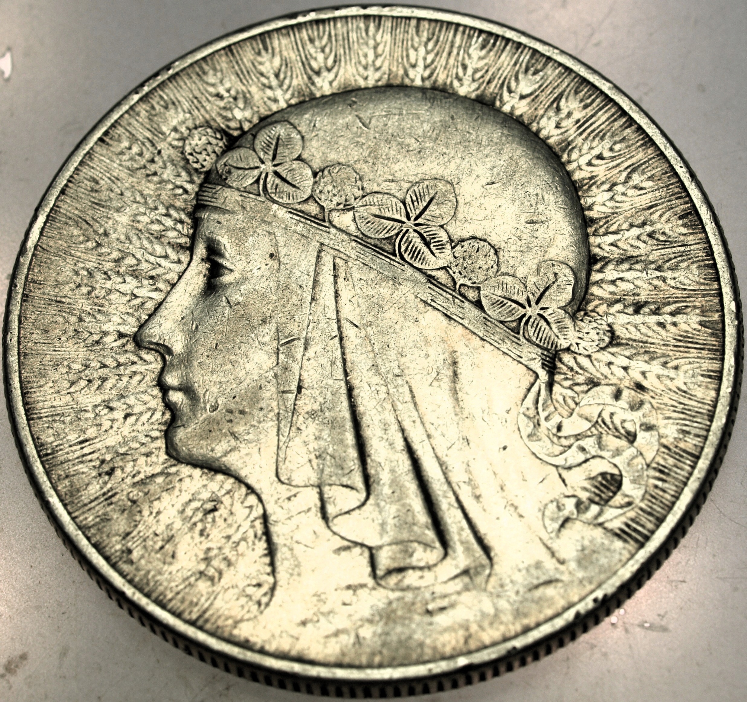 Zdjęcie 18139653068_0