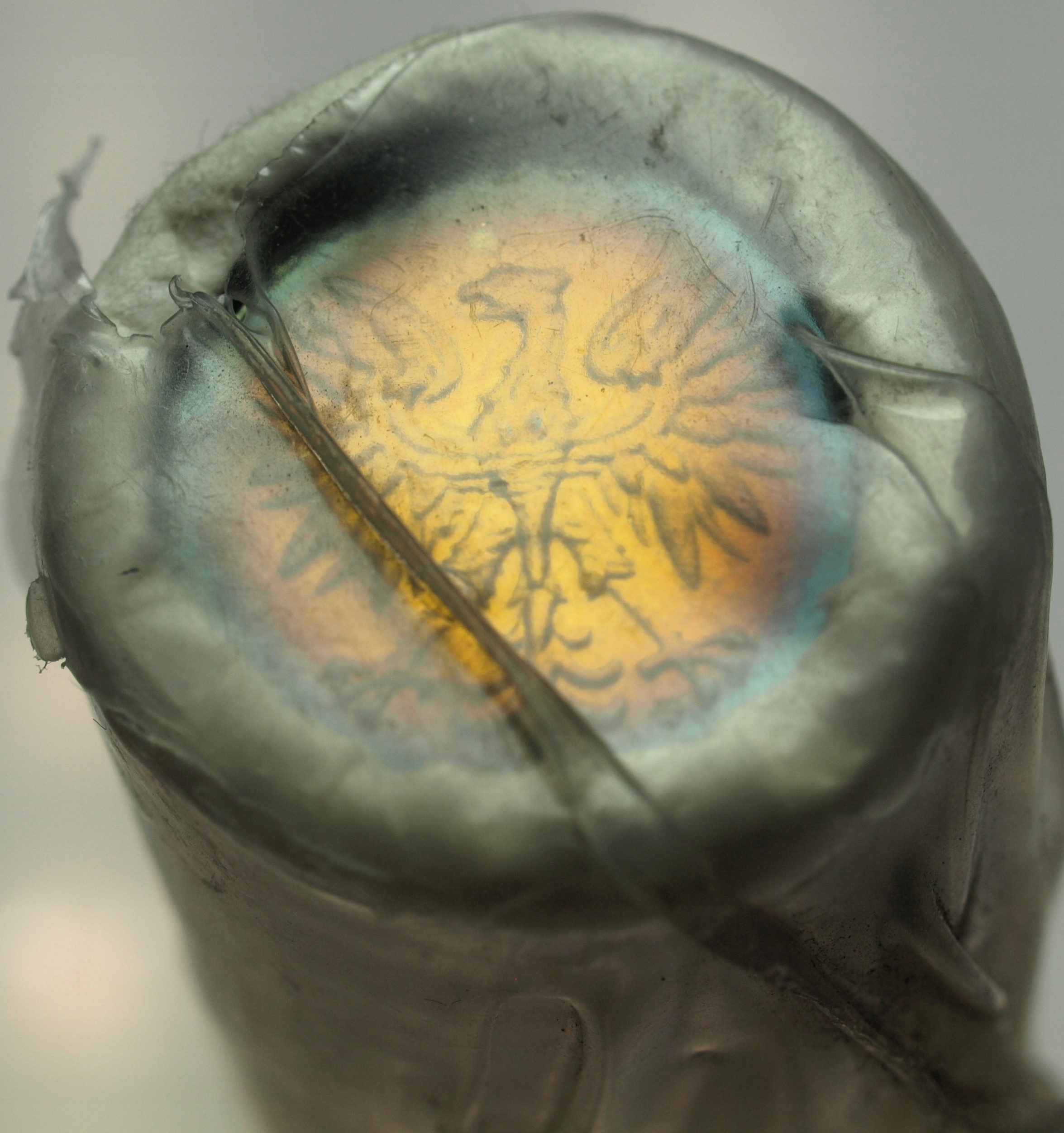 Zdjęcie 18139669319_1