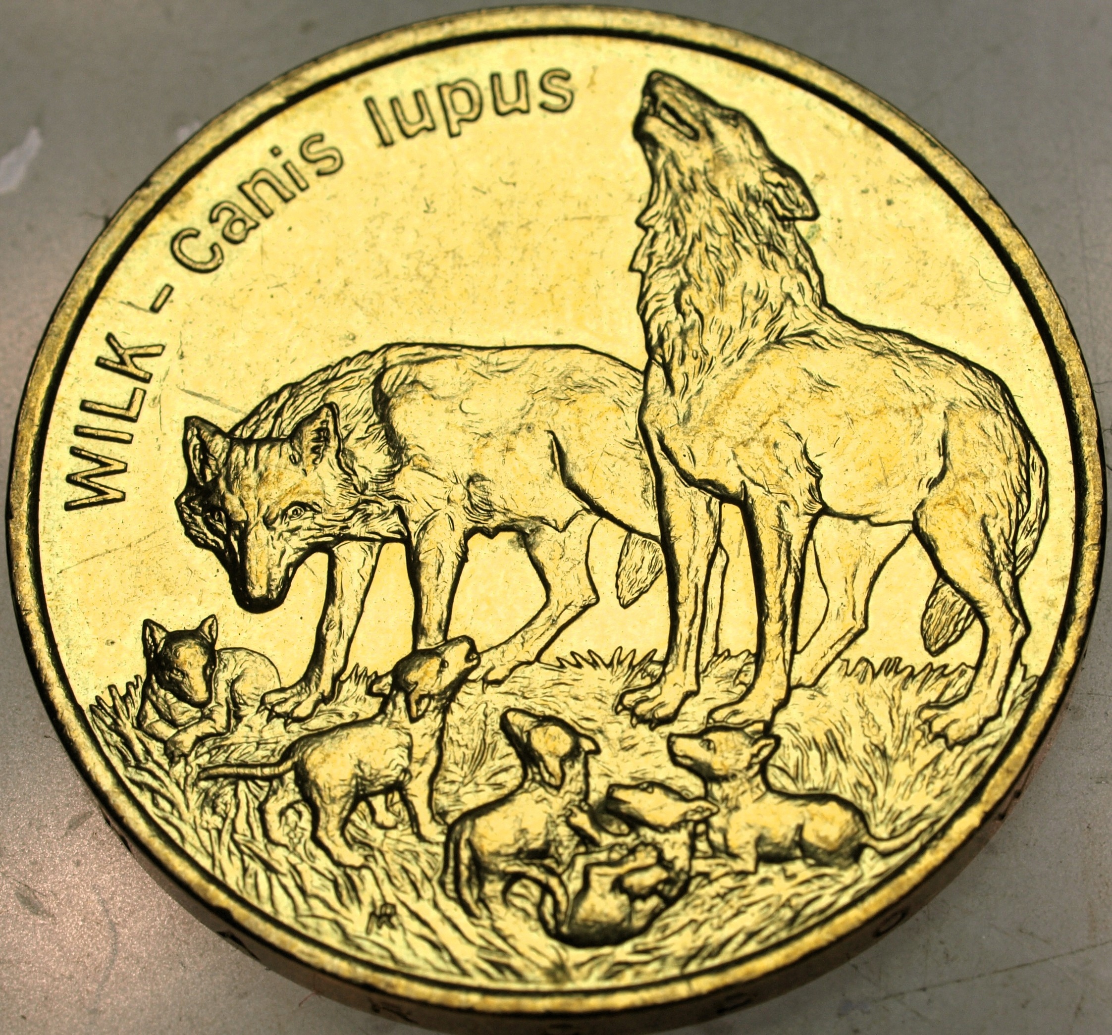 Zdjęcie 18149740200_0