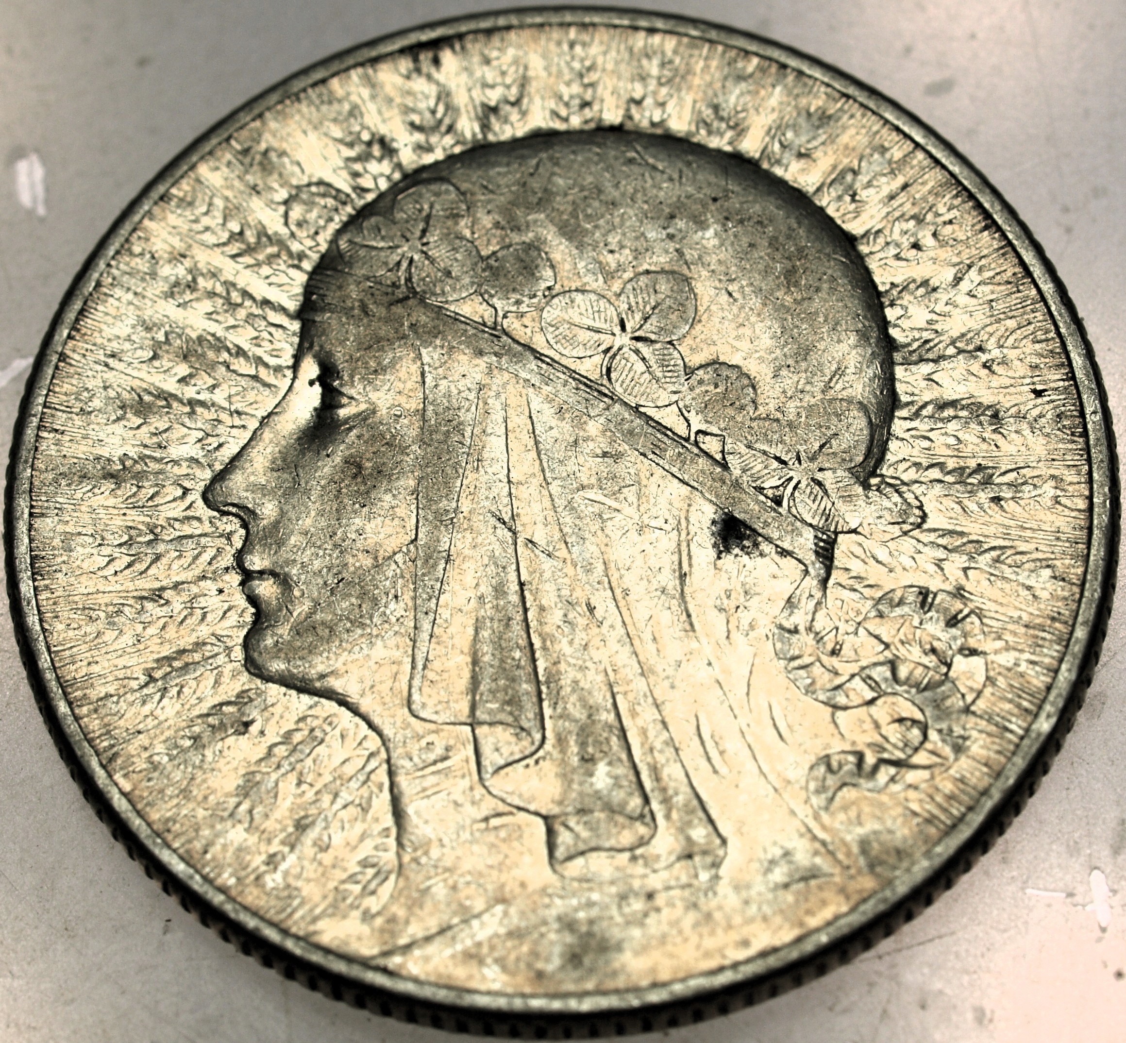 Zdjęcie 18149747314_0