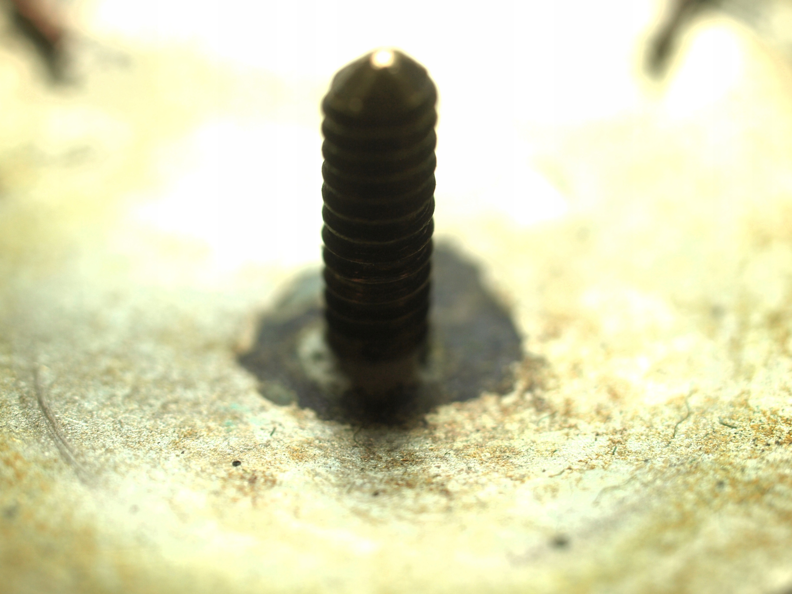 Zdjęcie 18152352829_3