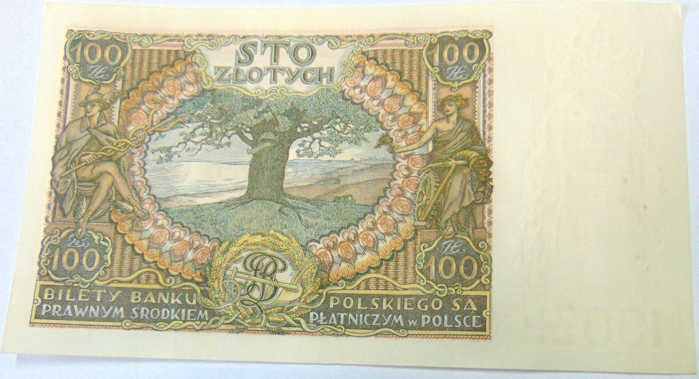 Zdjęcie 18169376302_1