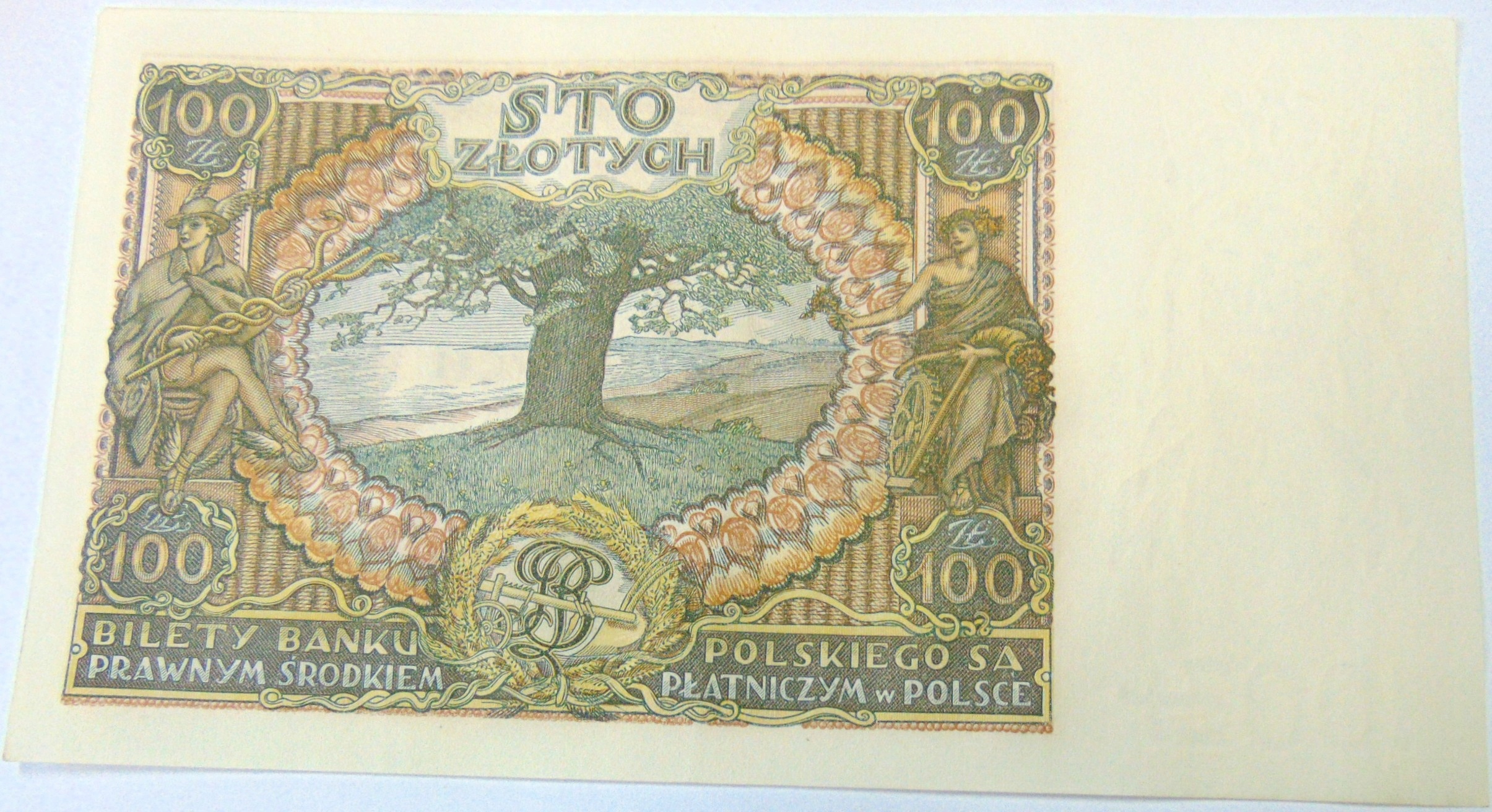 Zdjęcie 18169378967_1