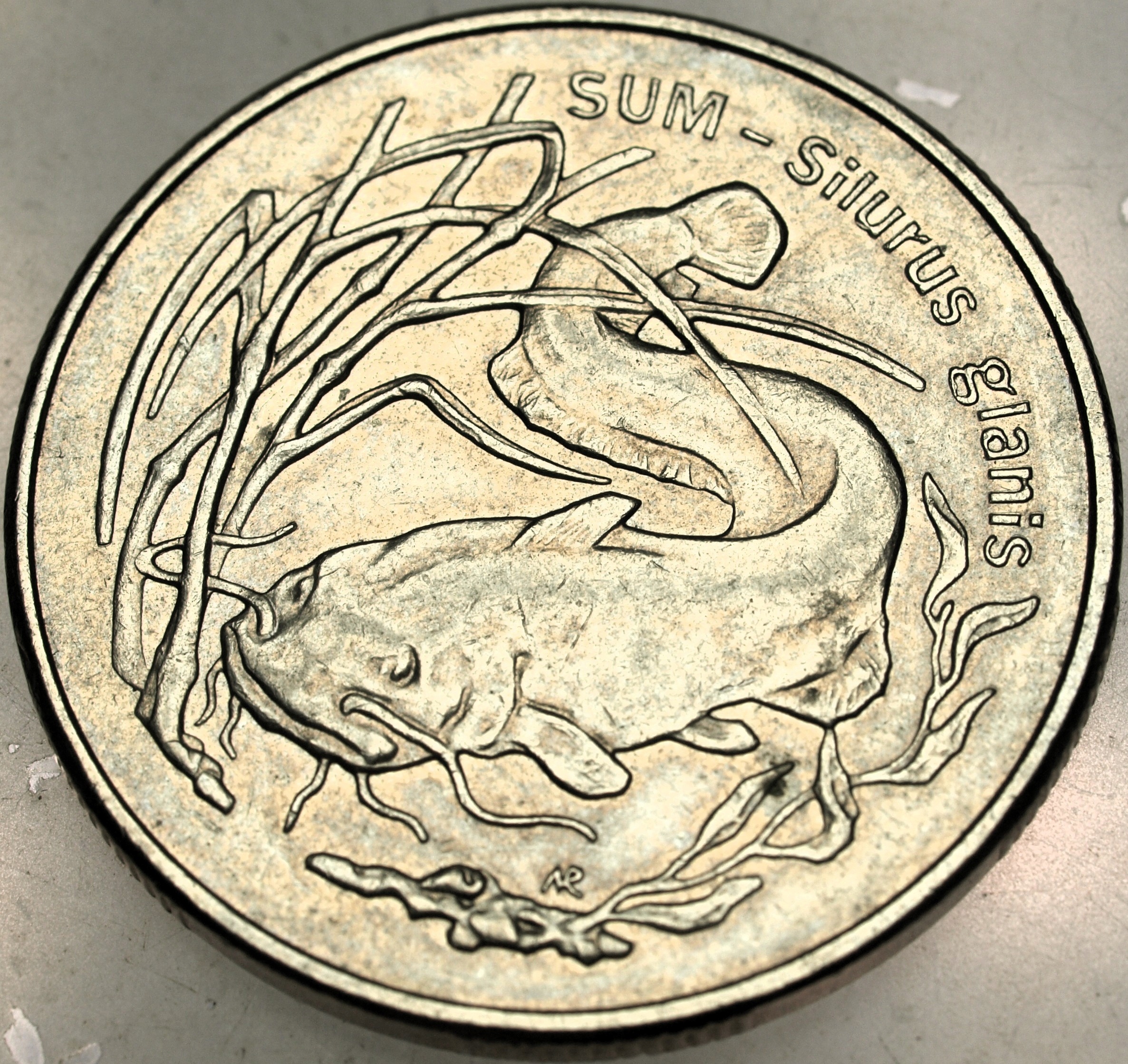 Zdjęcie 18169462186_0