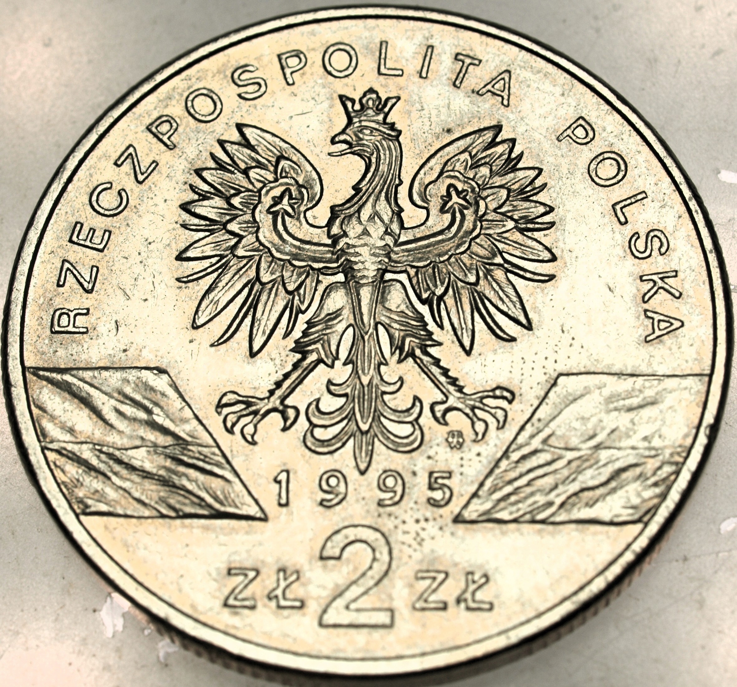 Zdjęcie 18169462186_1