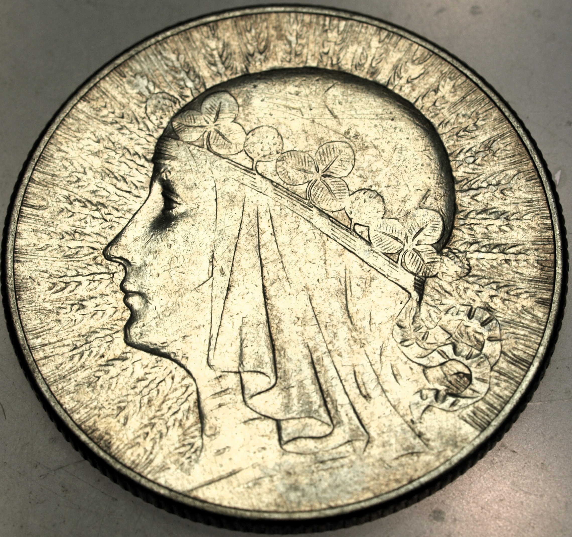 Zdjęcie 18169465799_0