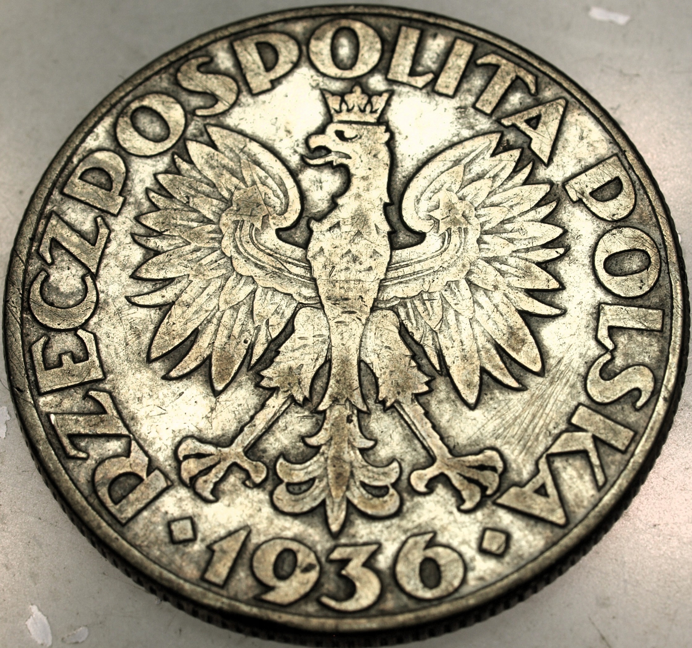 Zdjęcie 18169467797_1