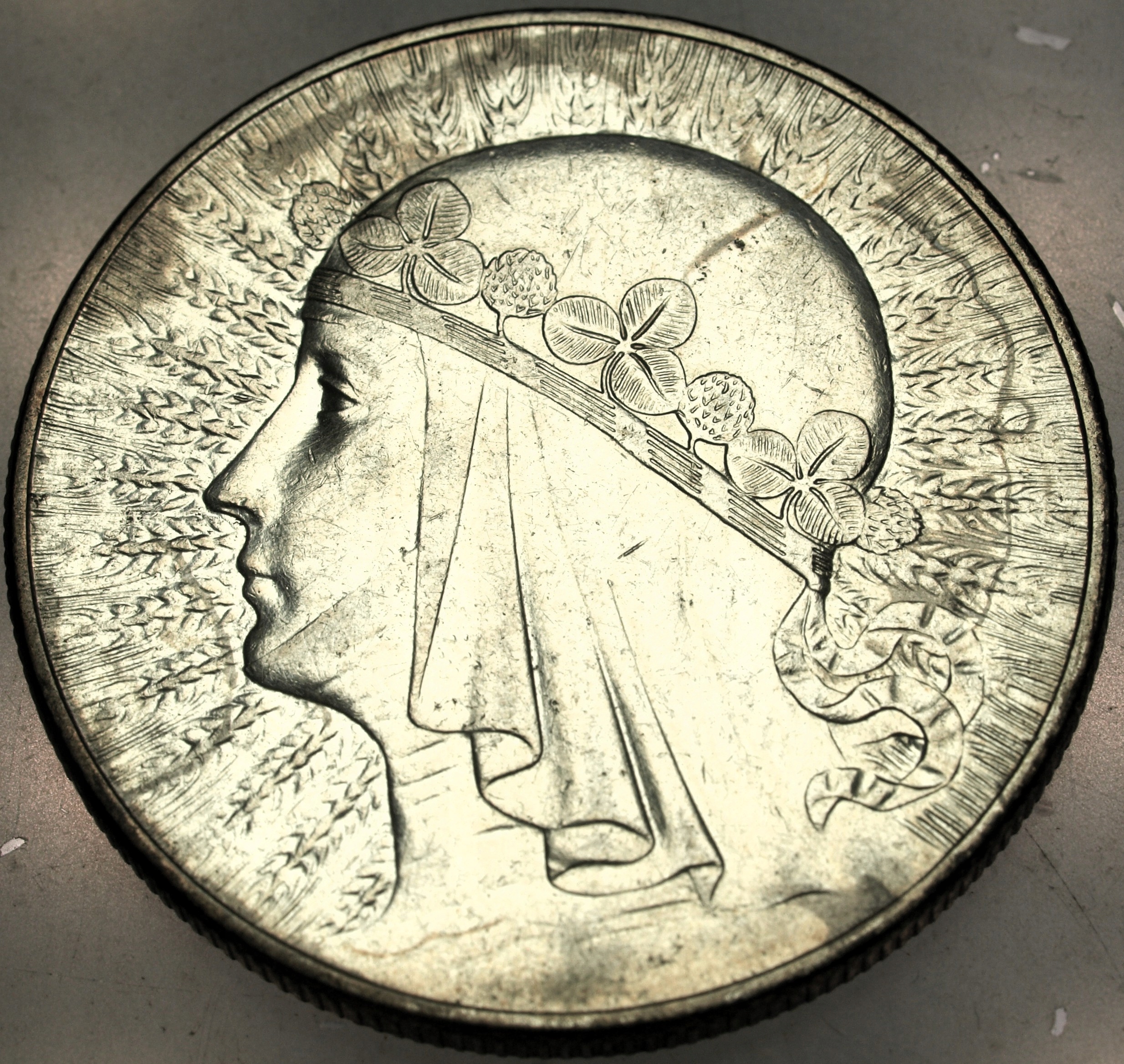 Zdjęcie 18169470205_0