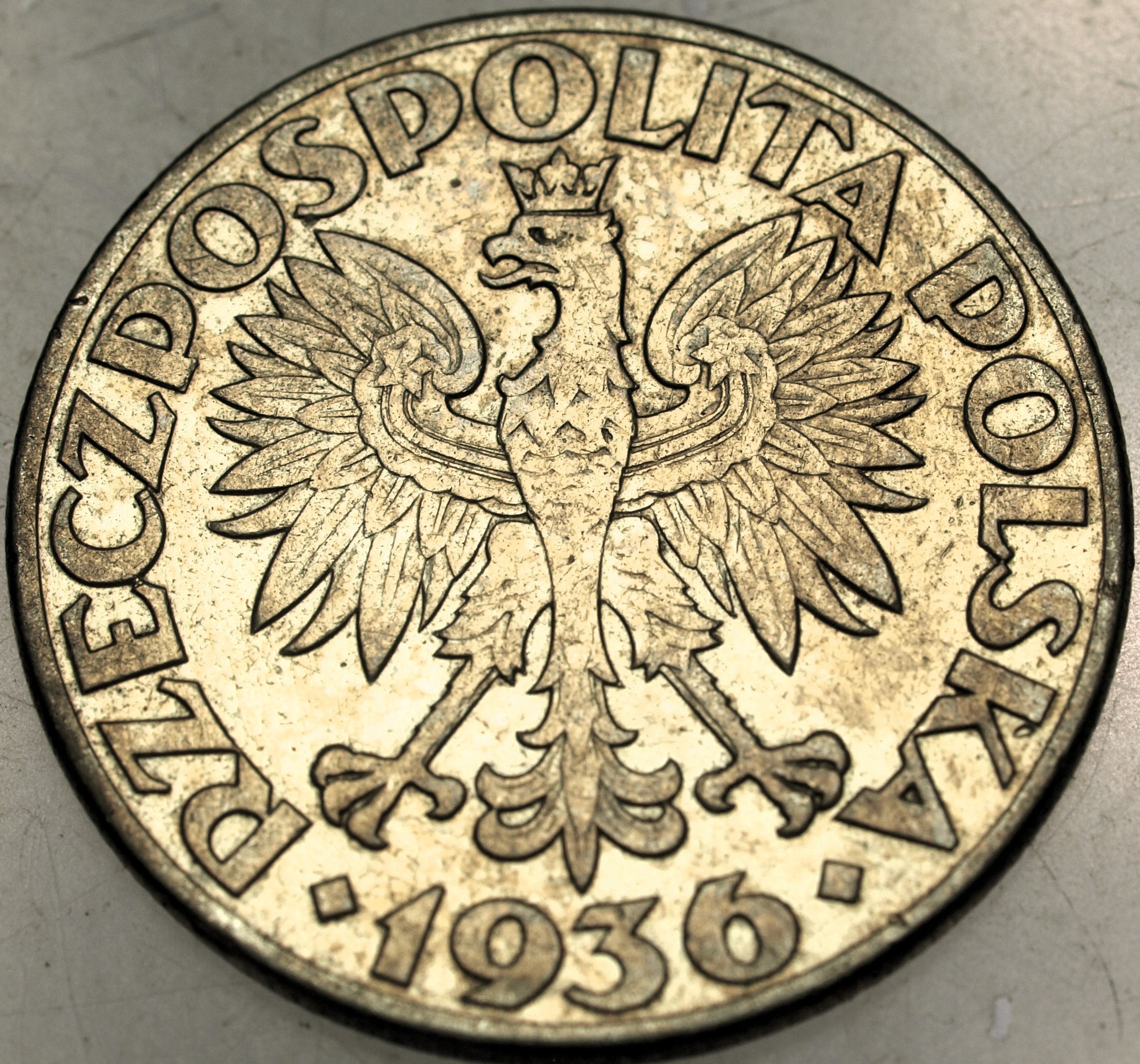 Zdjęcie 18171852085_1