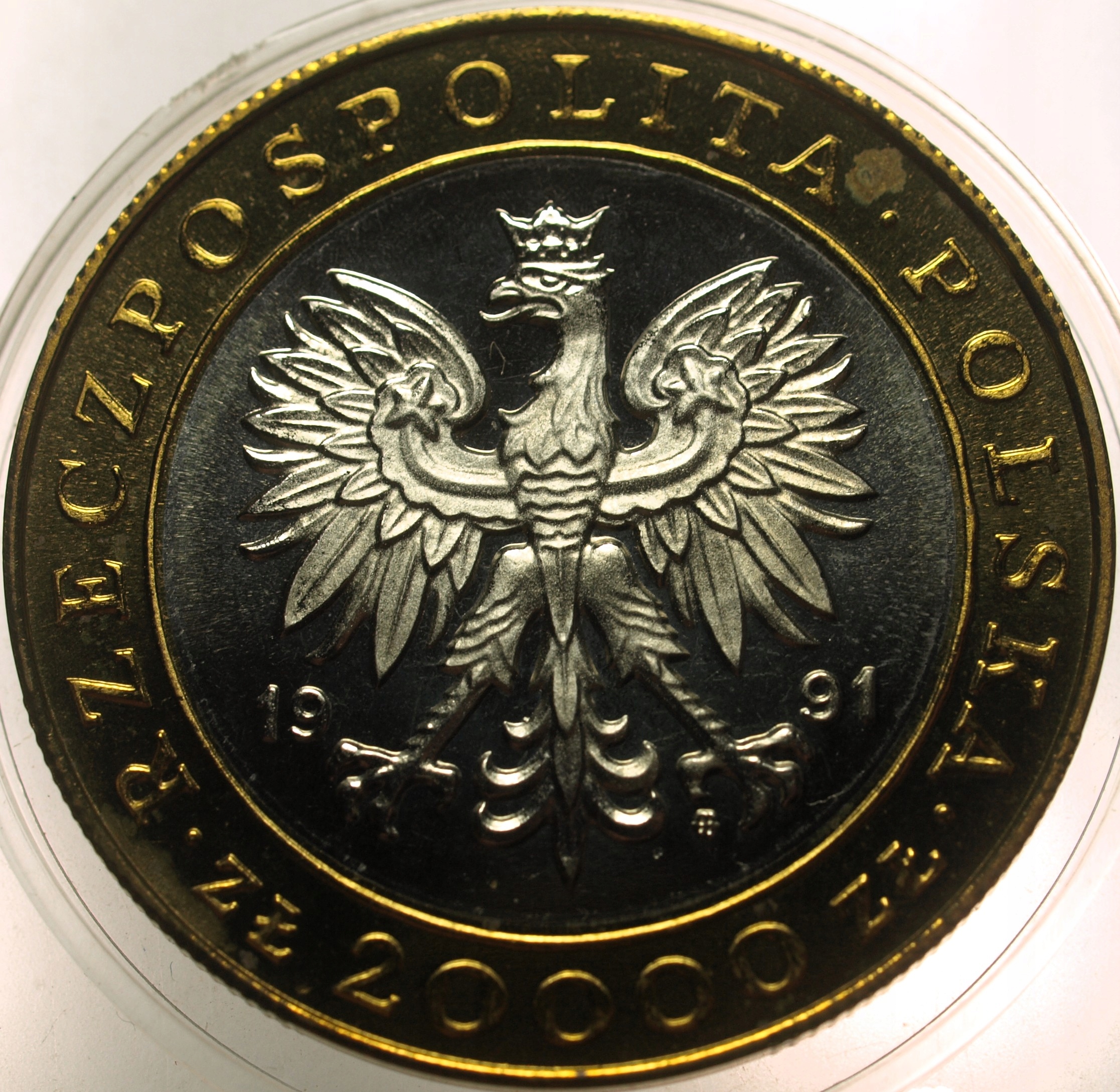 Zdjęcie 18171871548_1