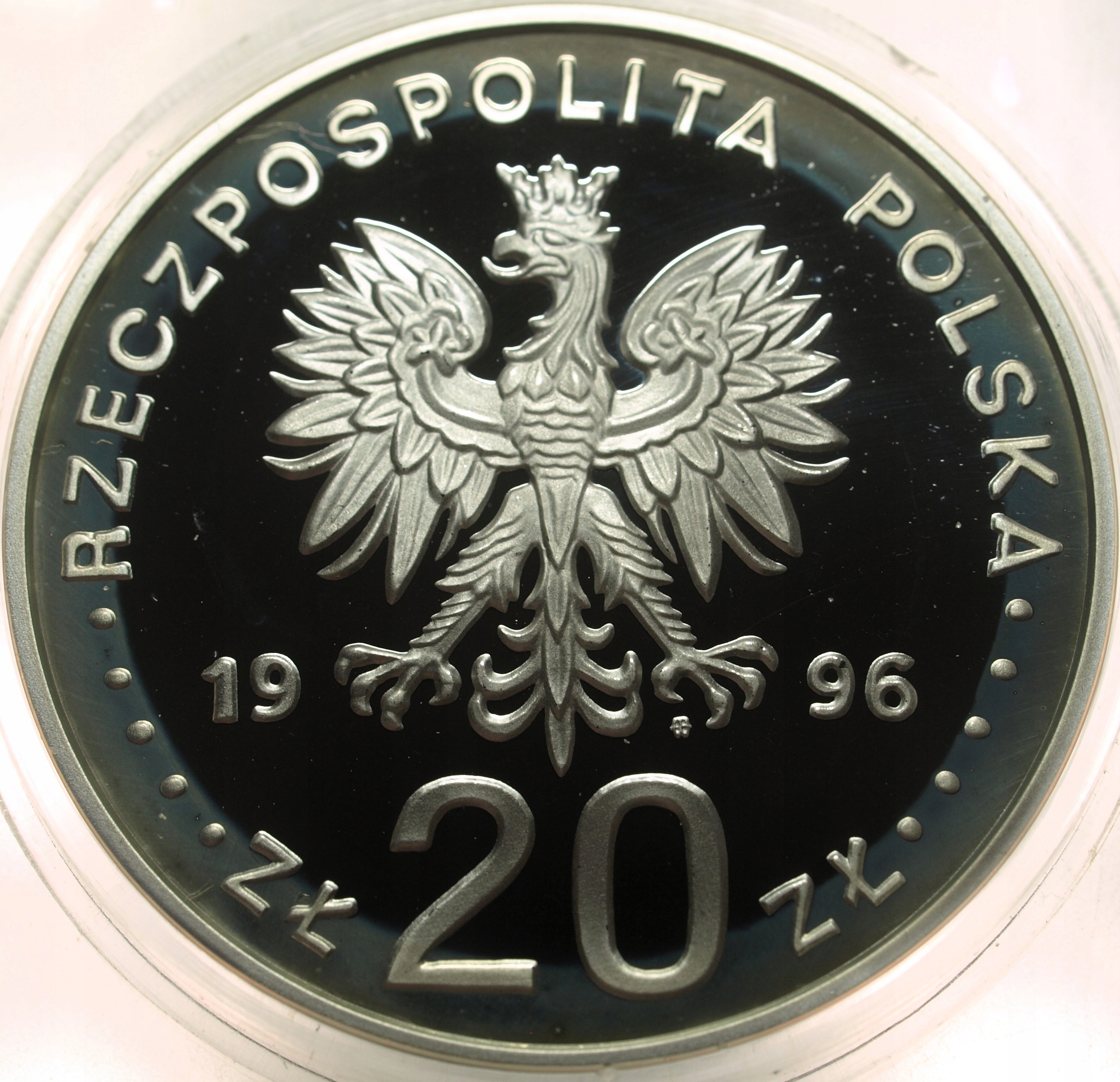 Zdjęcie 18172346683_1