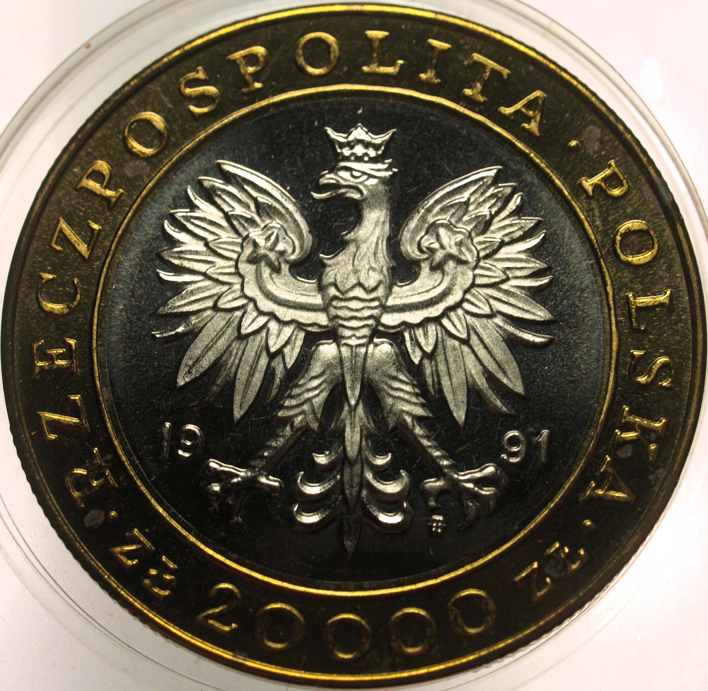 Zdjęcie 18172349624_1