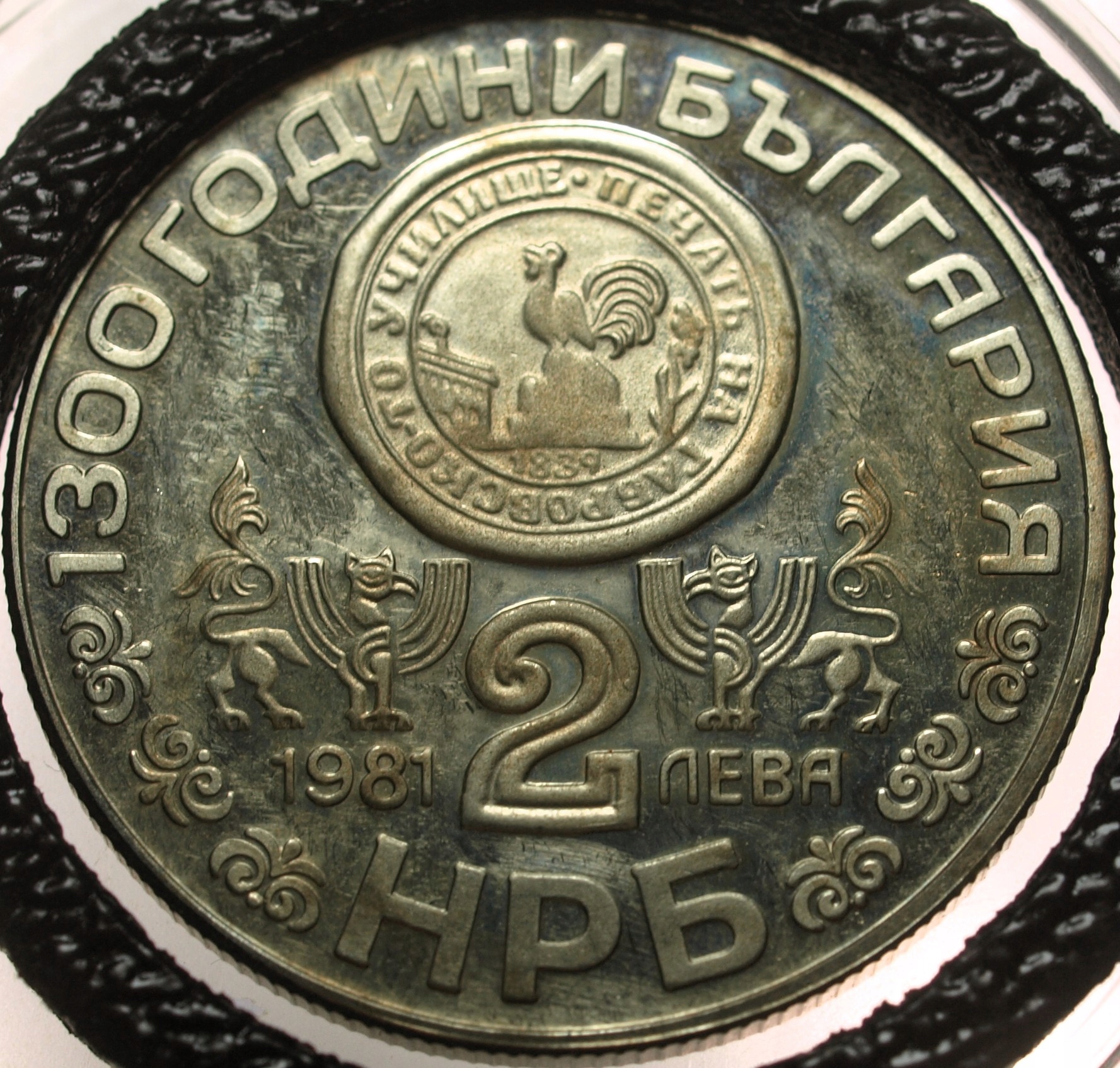 Zdjęcie 18172377624_1