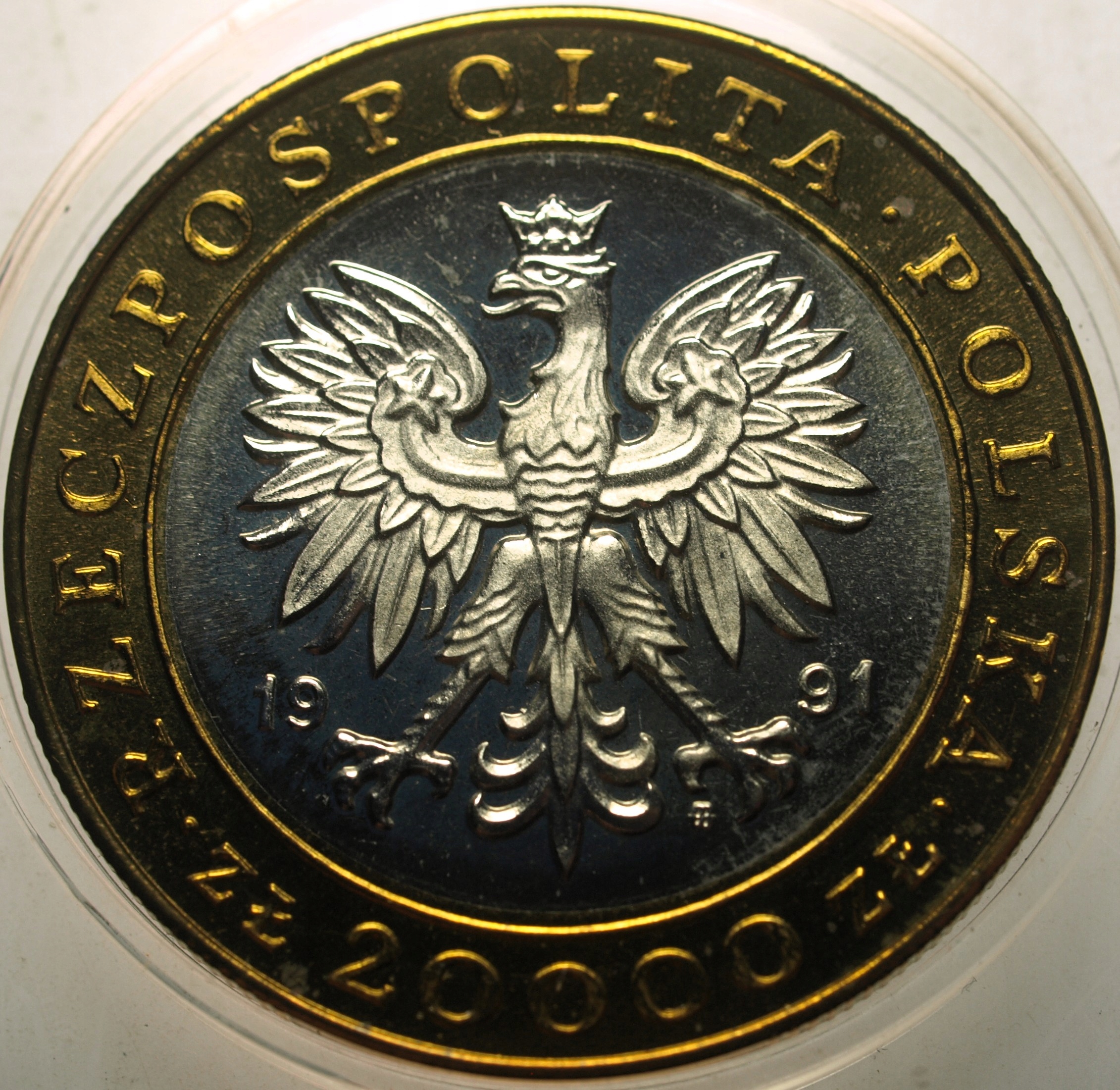 Zdjęcie 18174474993_1