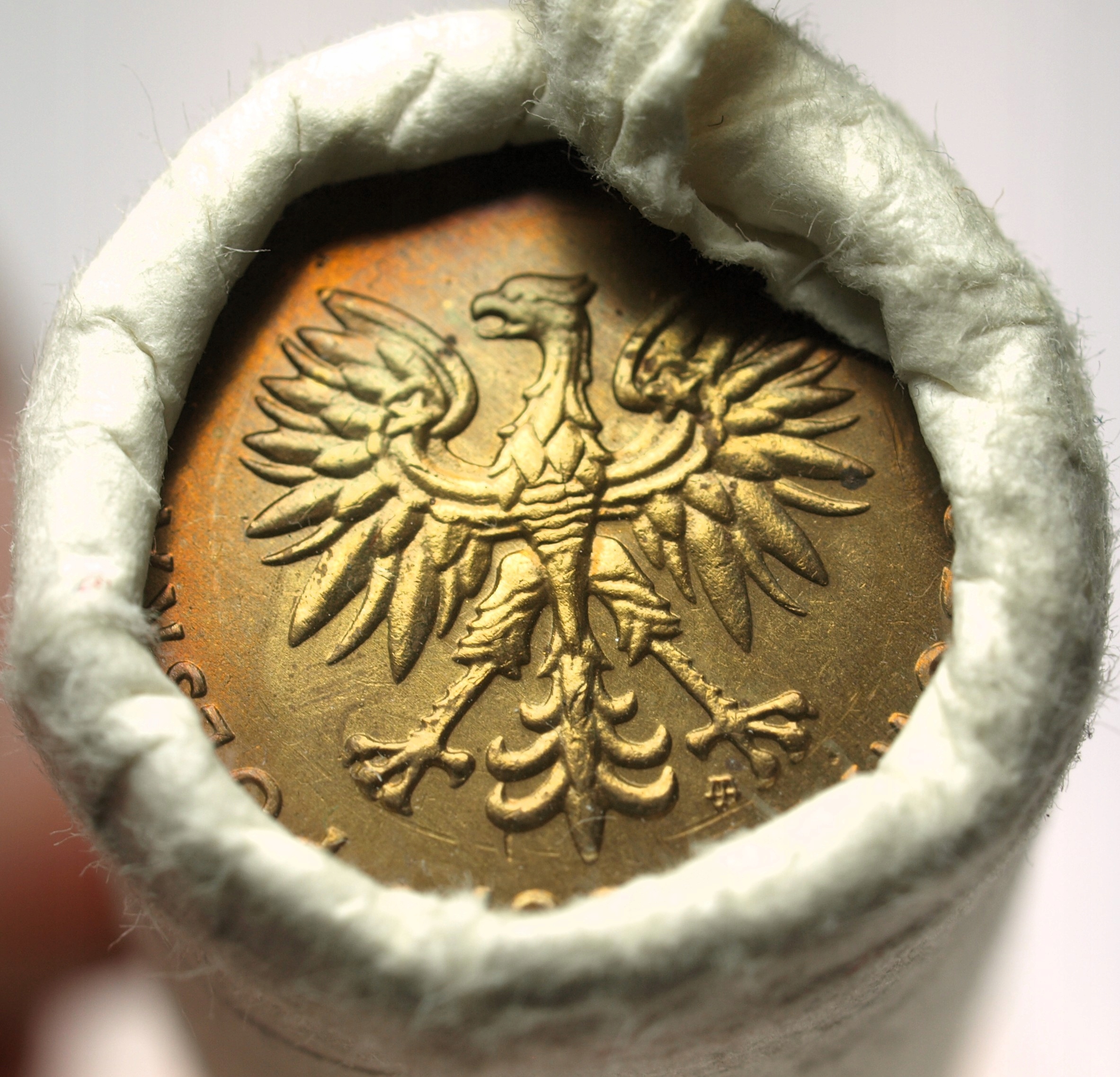 Zdjęcie 18174488594_2