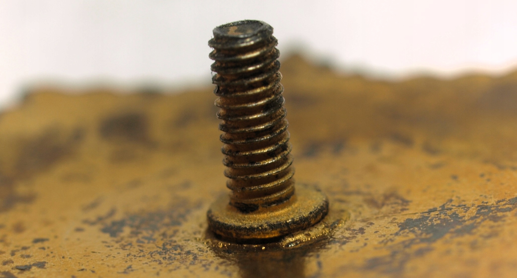 Zdjęcie 18195250631_2