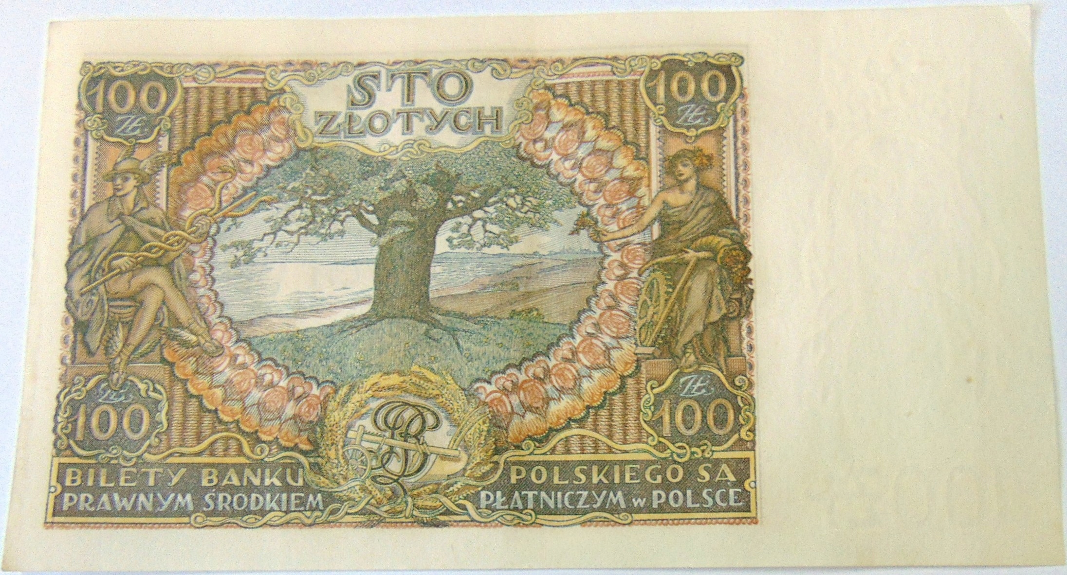 Zdjęcie 18201406069_1