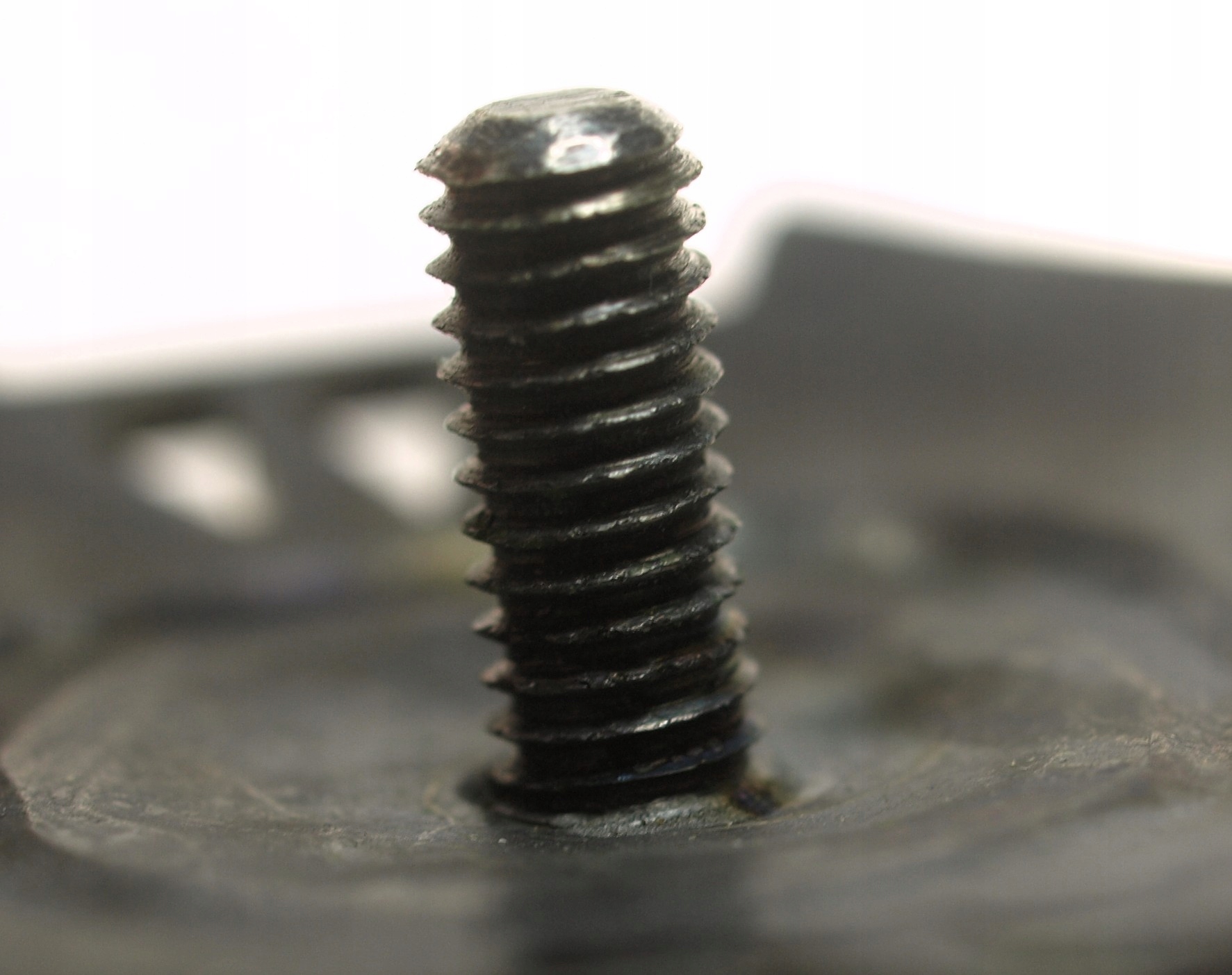 Zdjęcie 18203968105_2