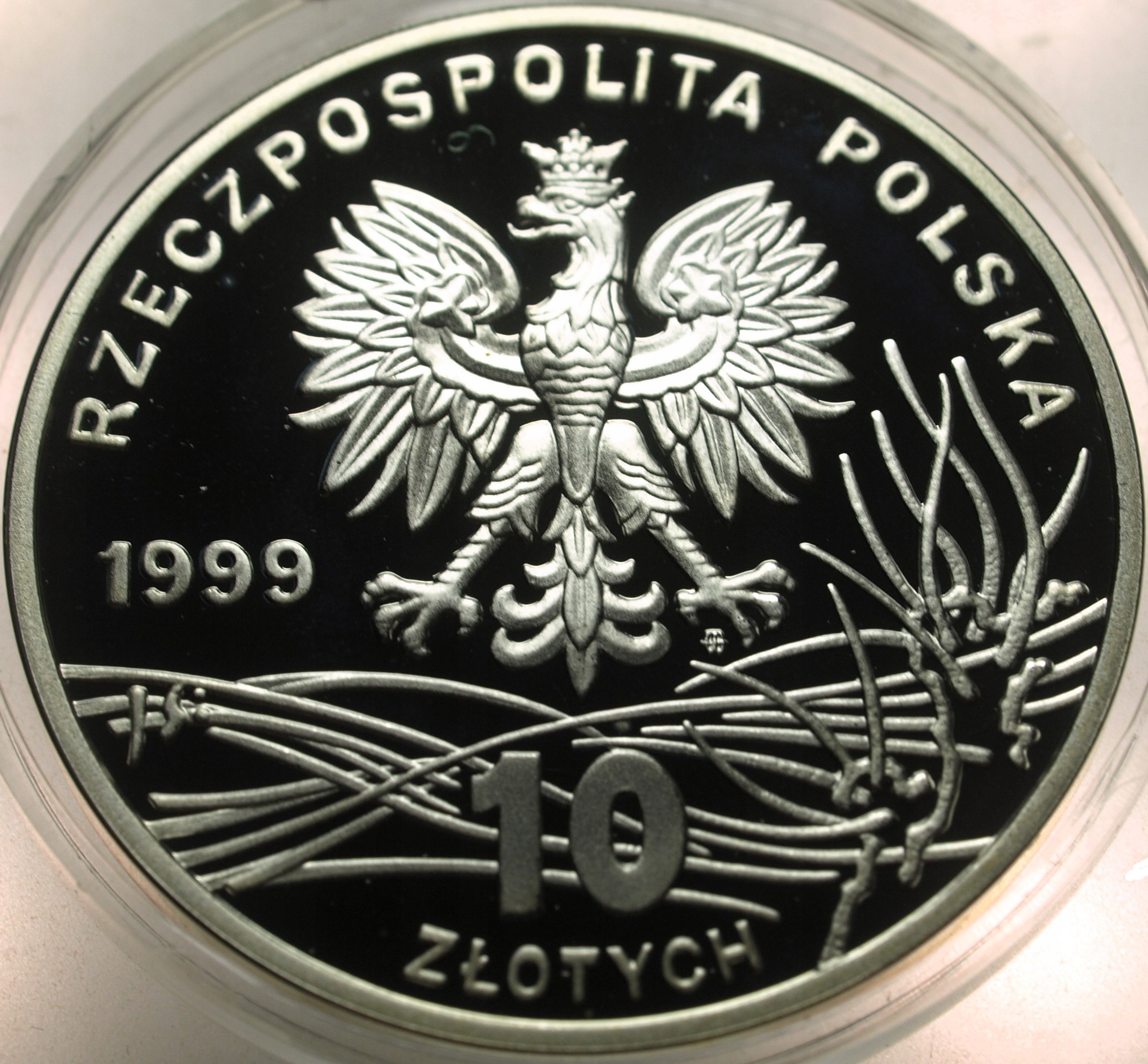 Zdjęcie 18225758049_1