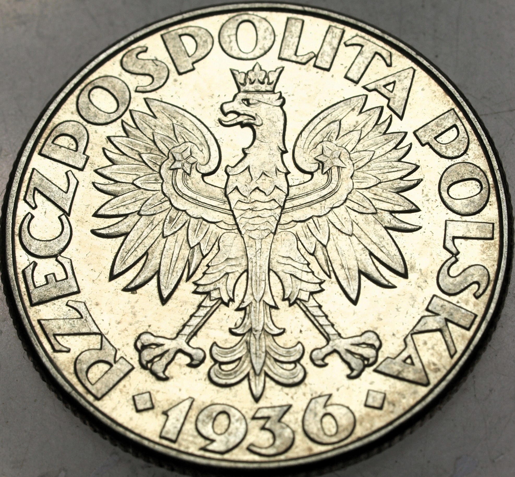 Zdjęcie 18232725230_1