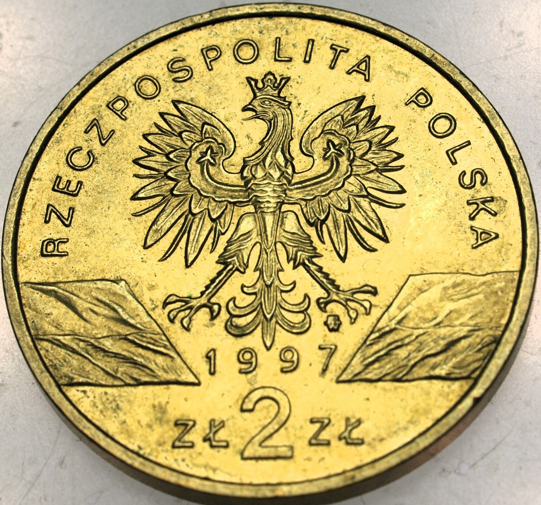 Zdjęcie 18232729834_1