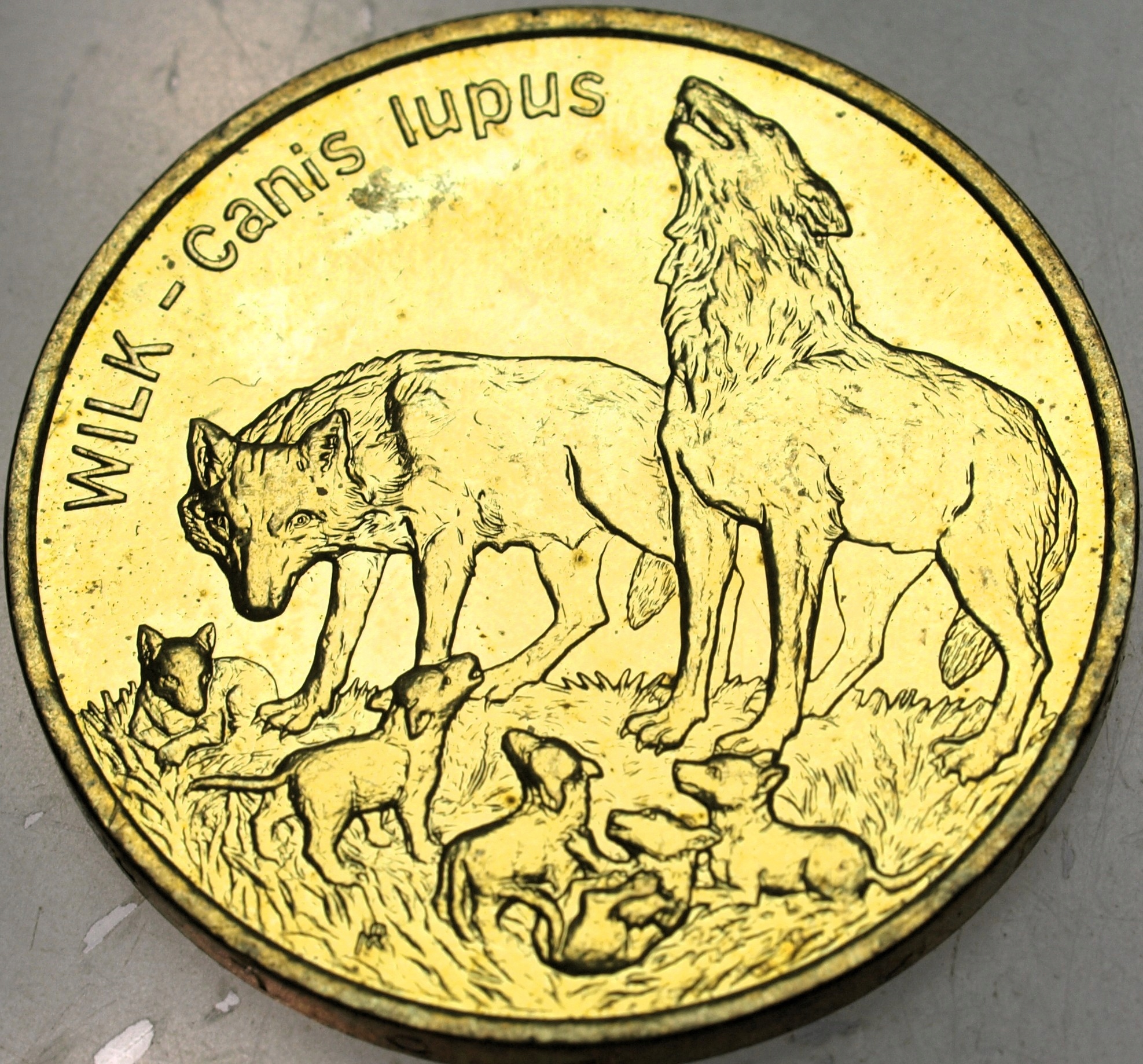 Zdjęcie 18232733246_0