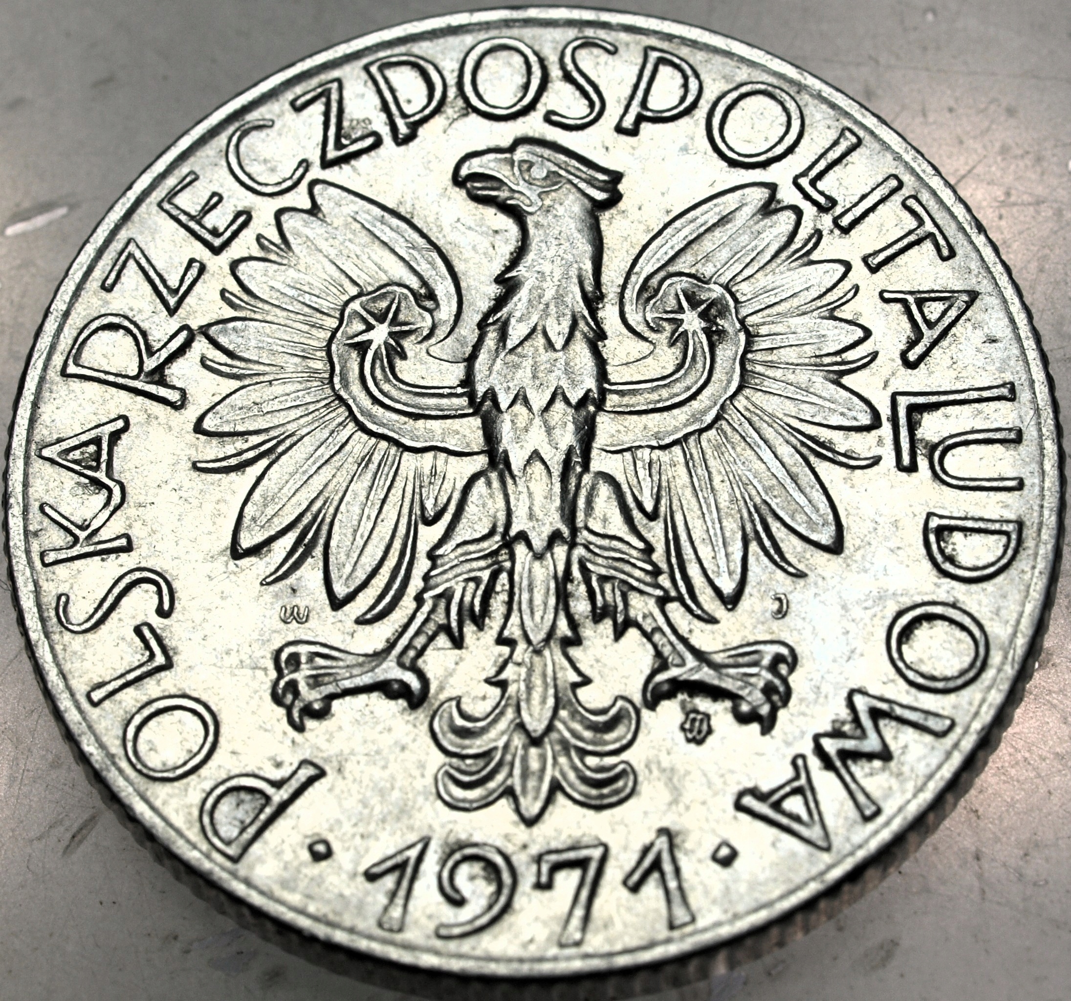 Zdjęcie 18232736197_1