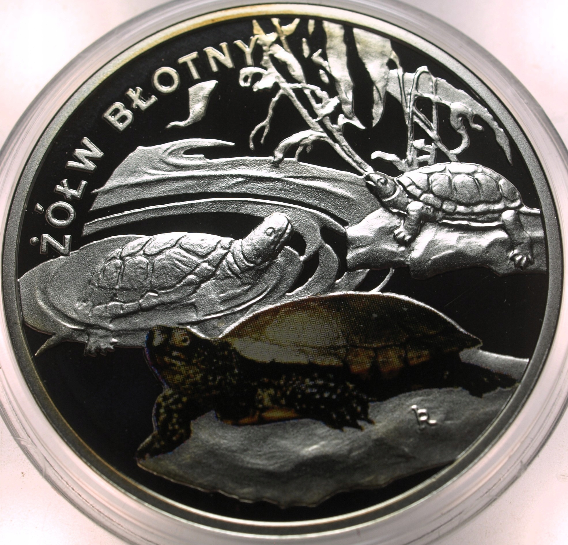 Zdjęcie 18232766778_0