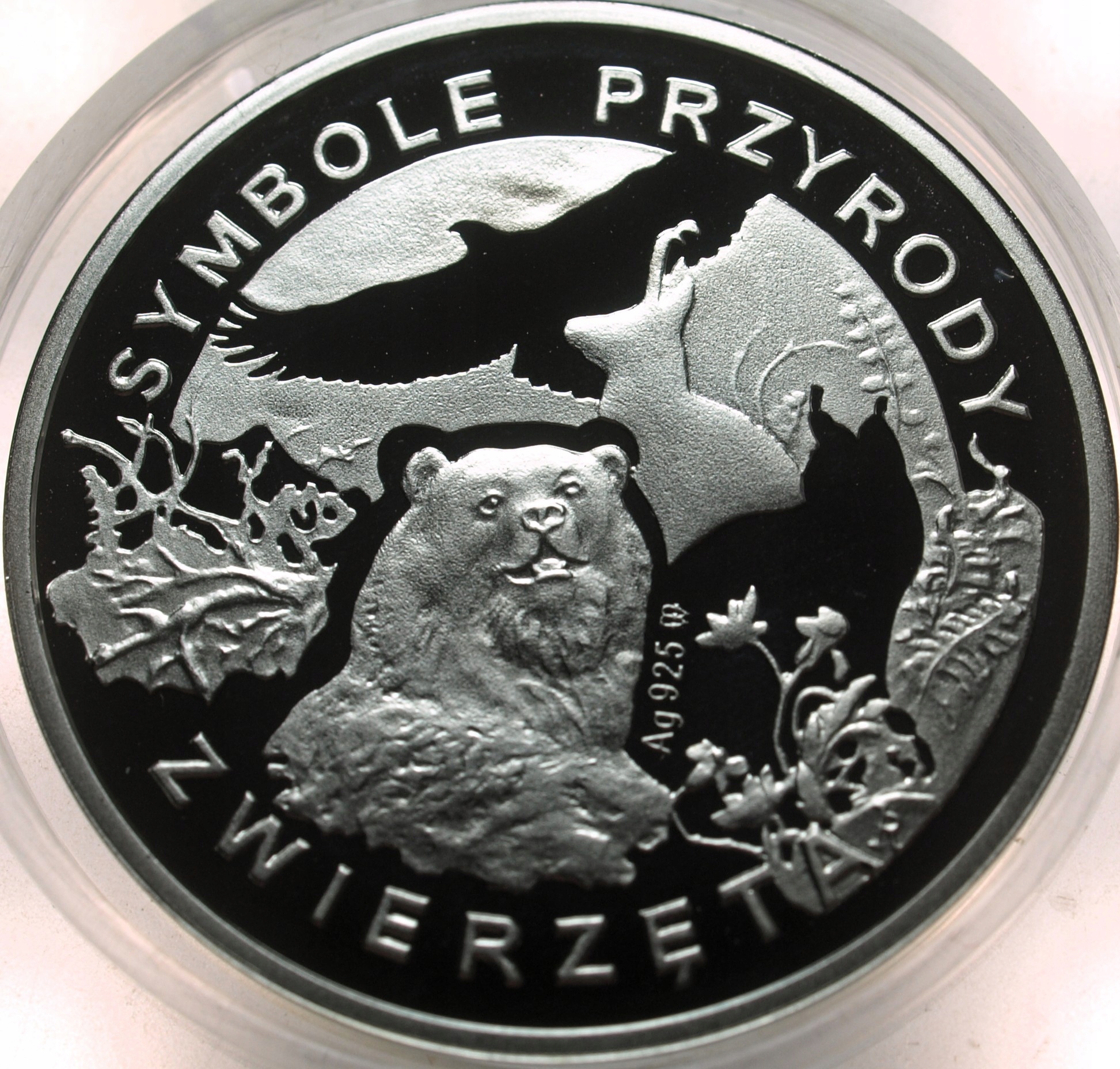 Zdjęcie 18232766778_1