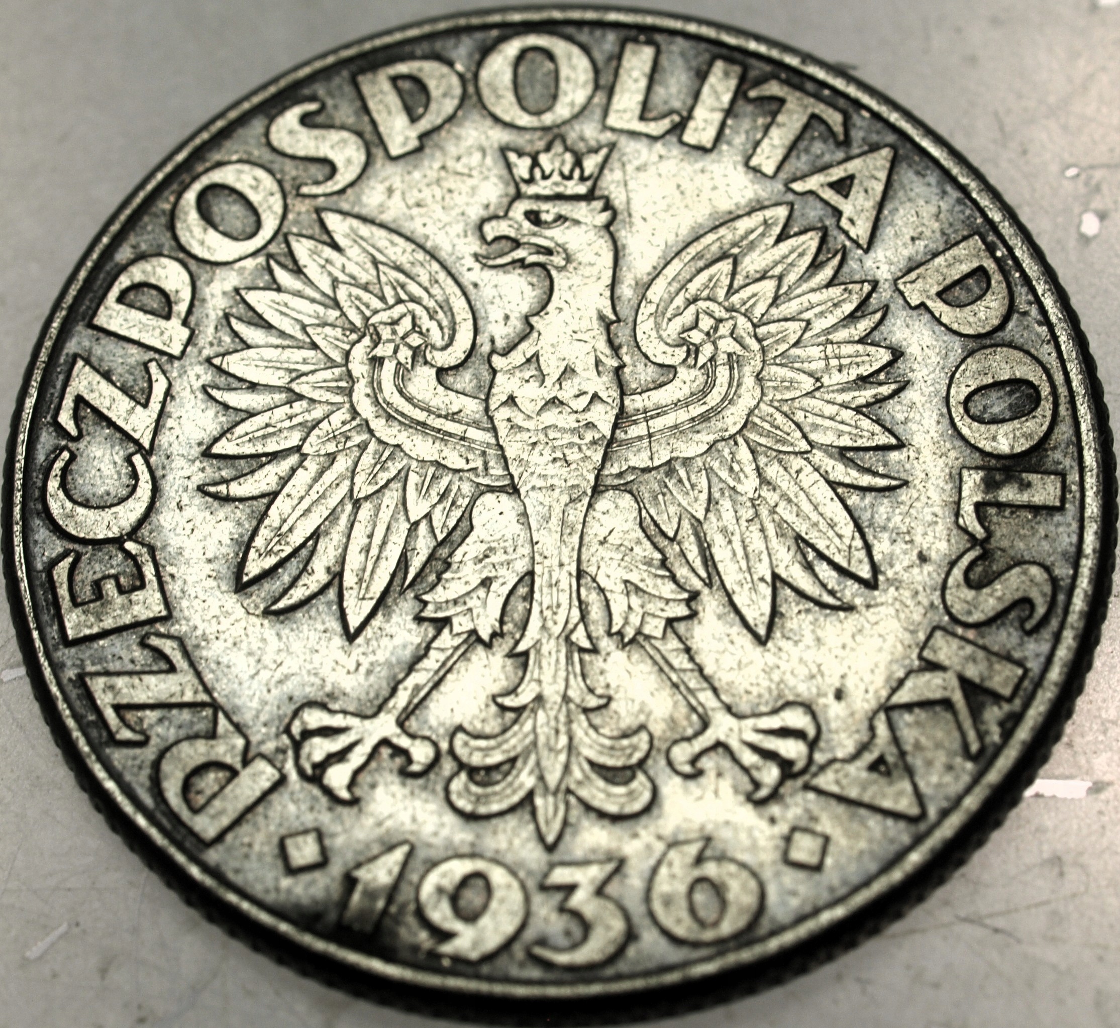 Zdjęcie 18240679425_1