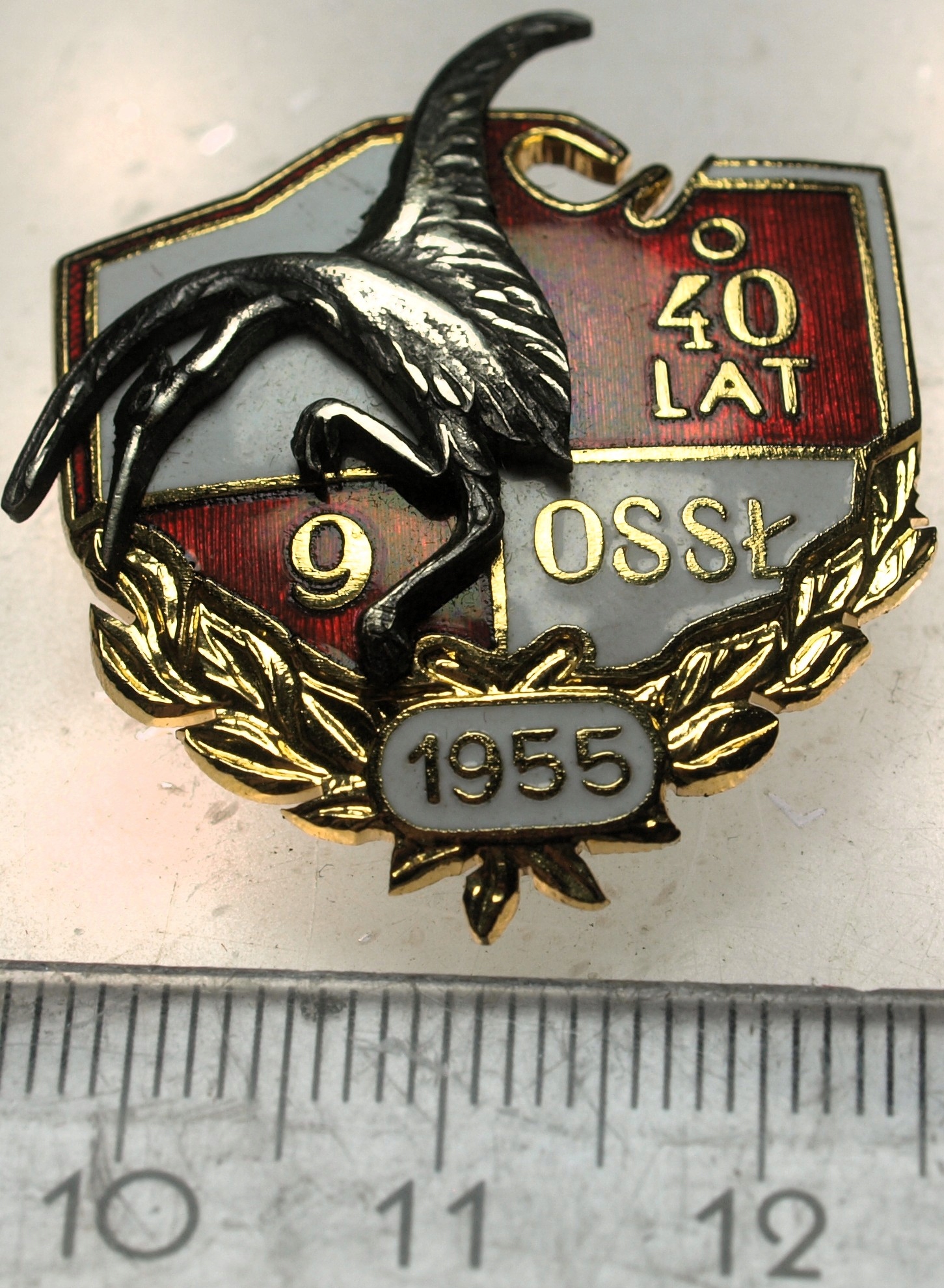 Zdjęcie 18243844467_0