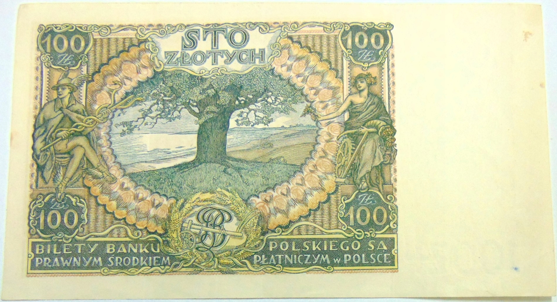 Zdjęcie 18254576083_1